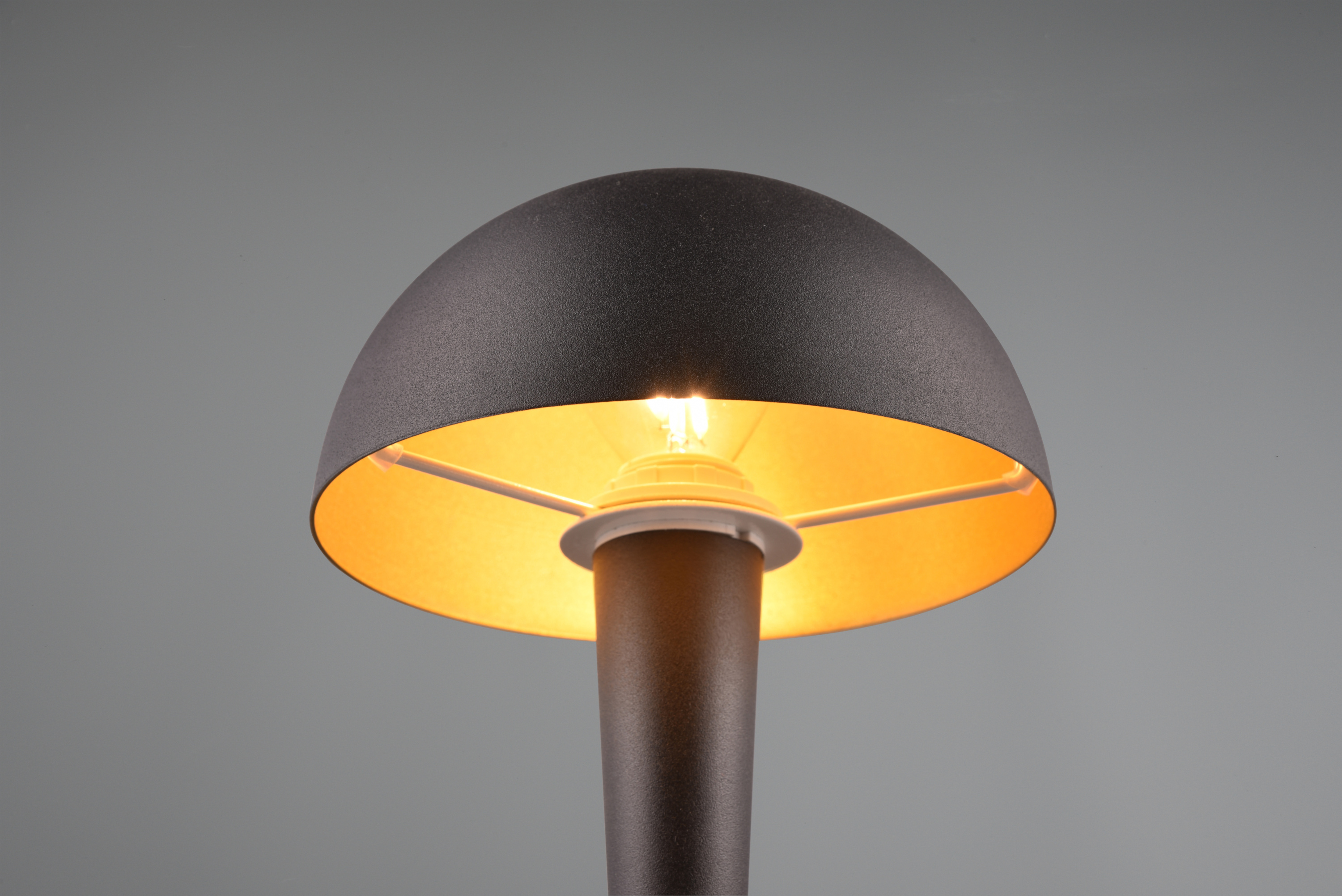 Tischleuchte CANARIA LED