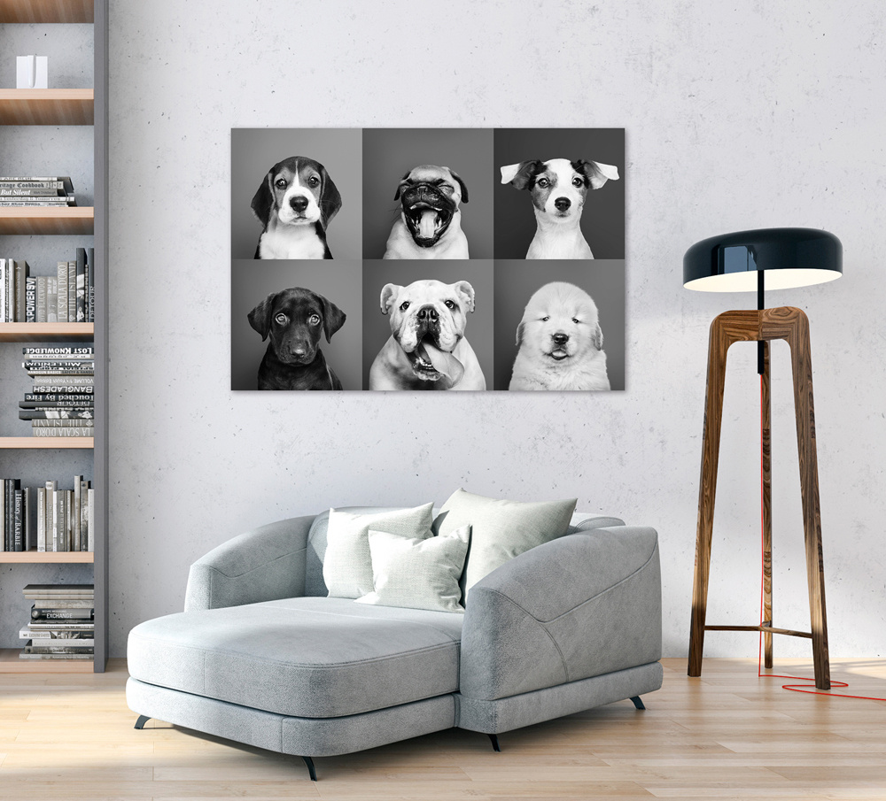 Akustikbild LUSTIGE HUNDE