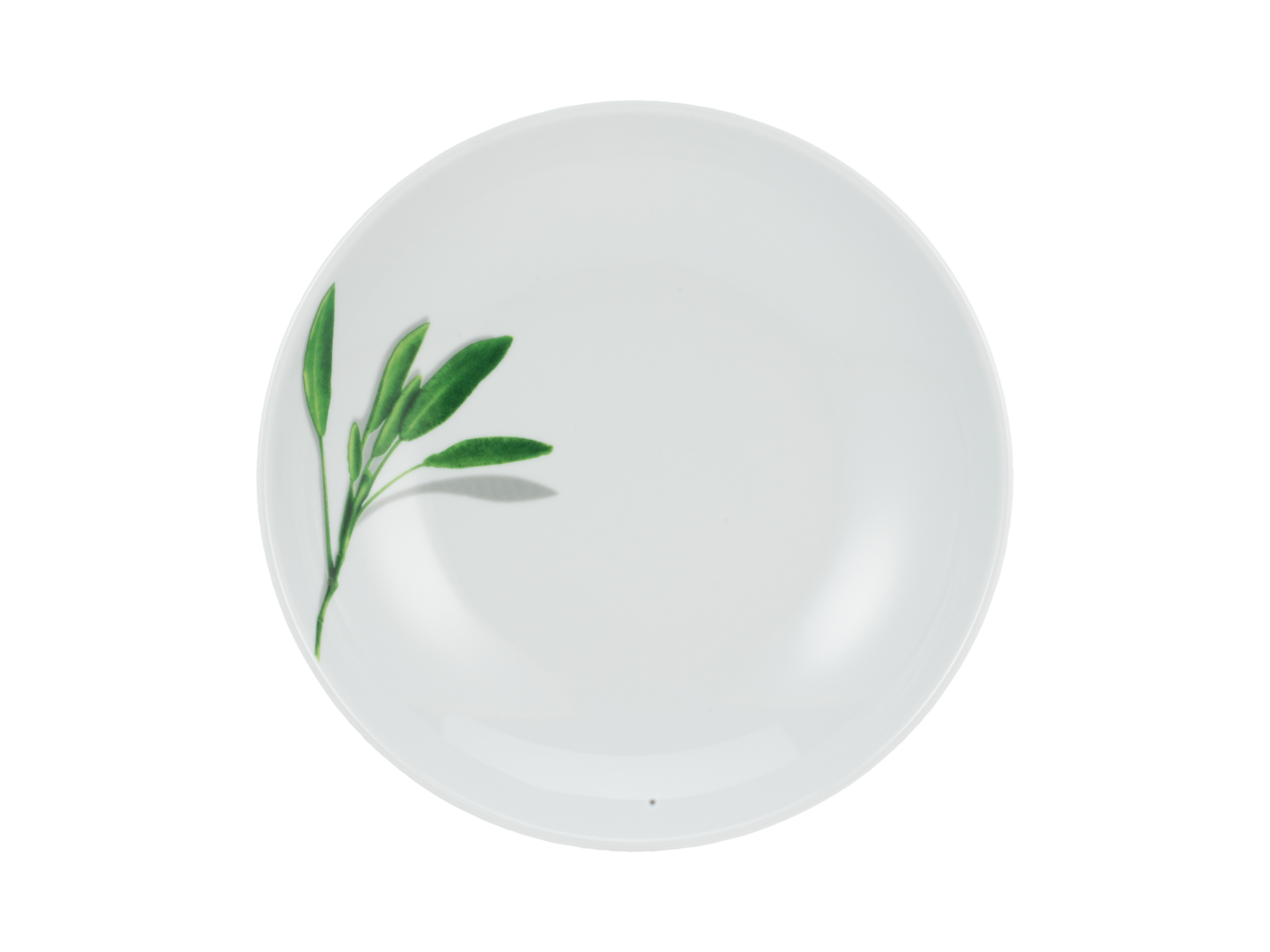 Pastateller SALBEI