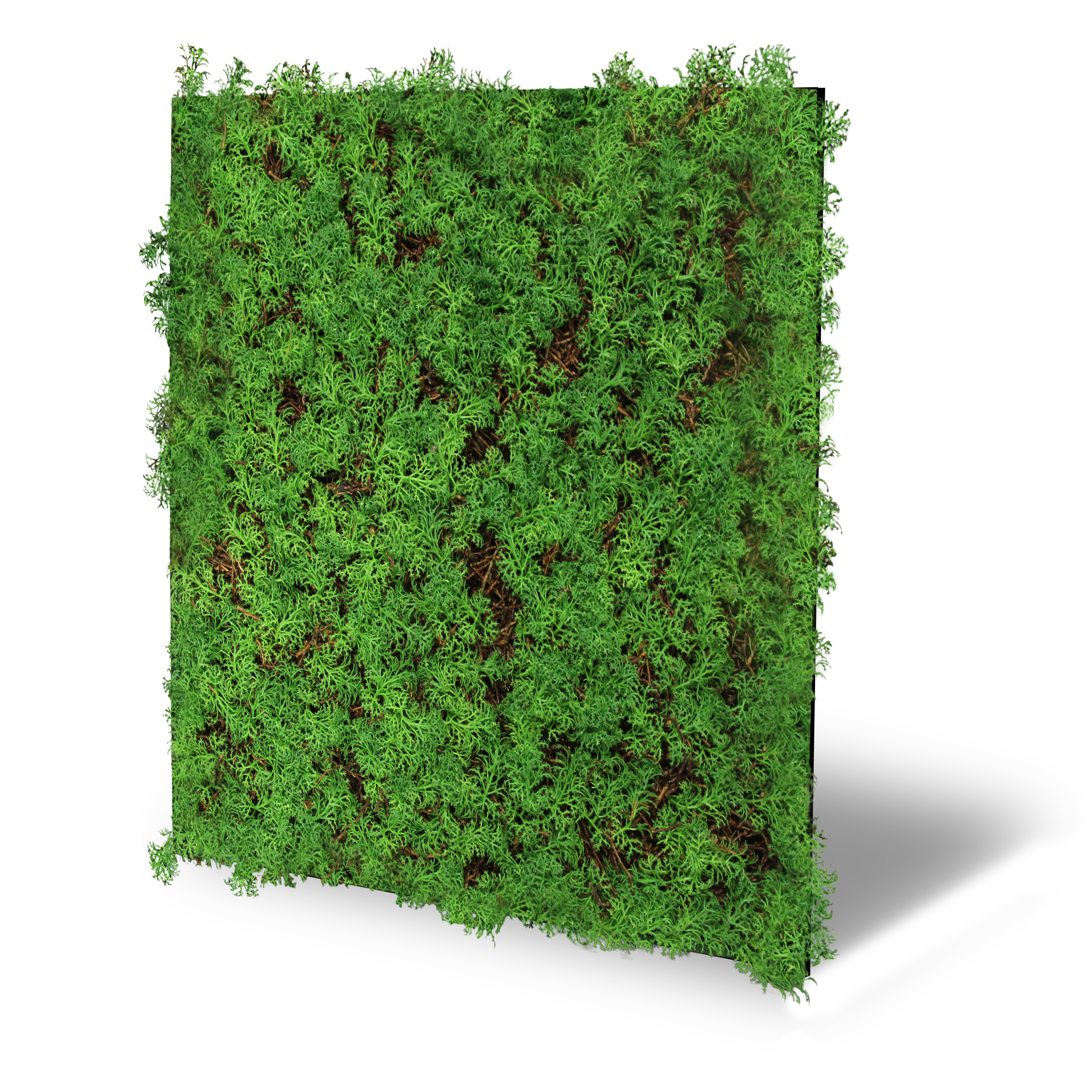 Wandpaneel MODULAR WALL