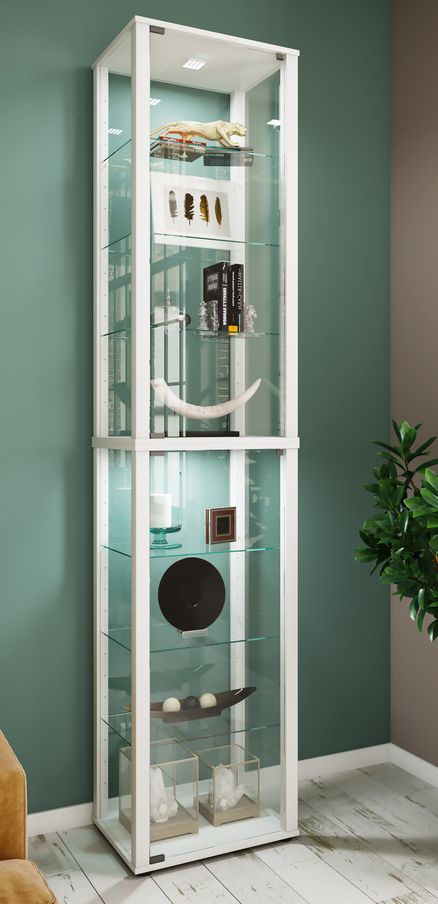 Vitrine KAVISA