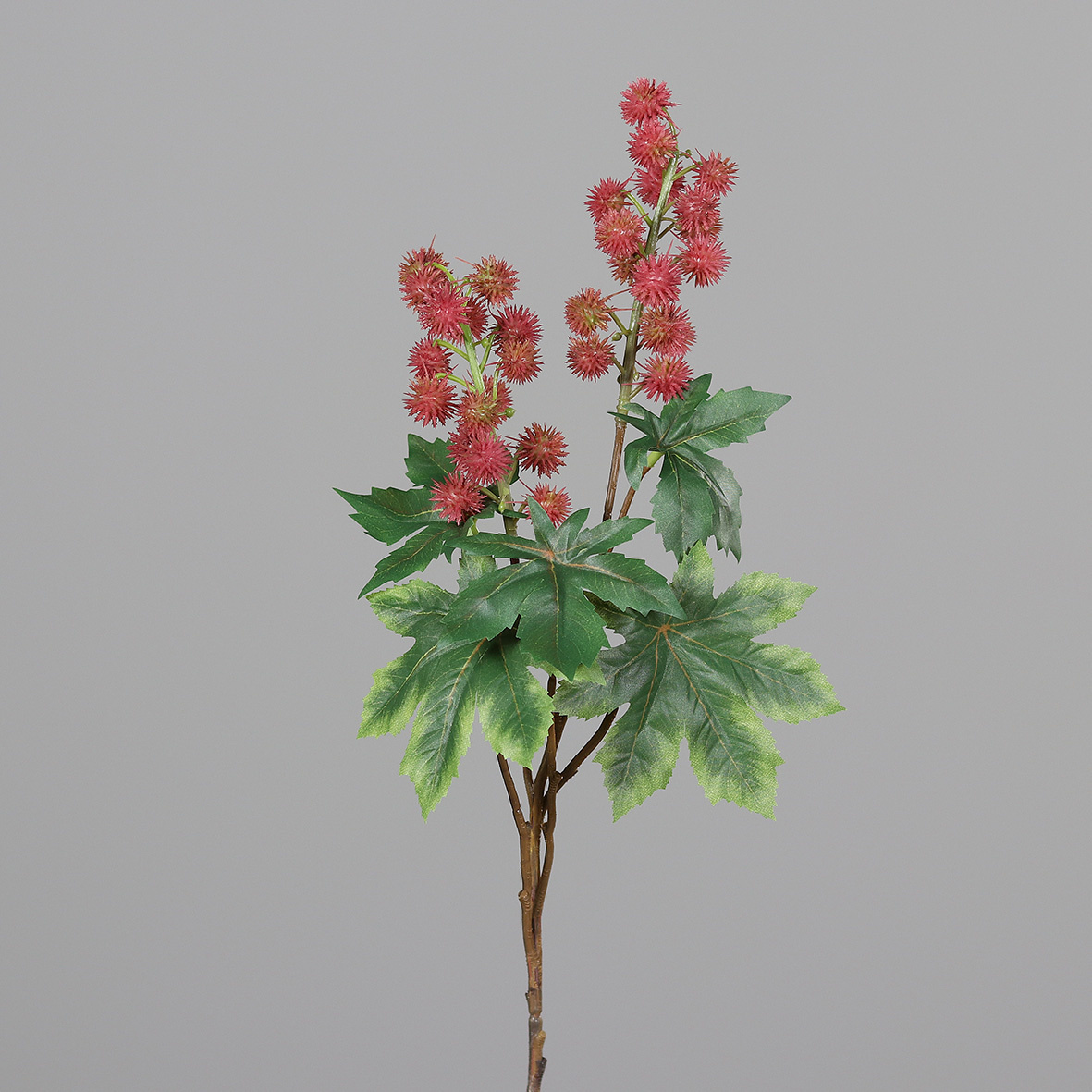 Kunstblume Rizinus