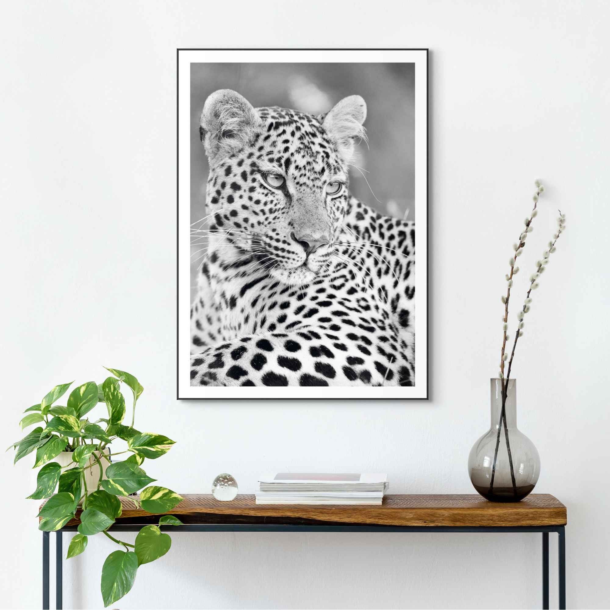 Bild PANTHER PORTRAIT