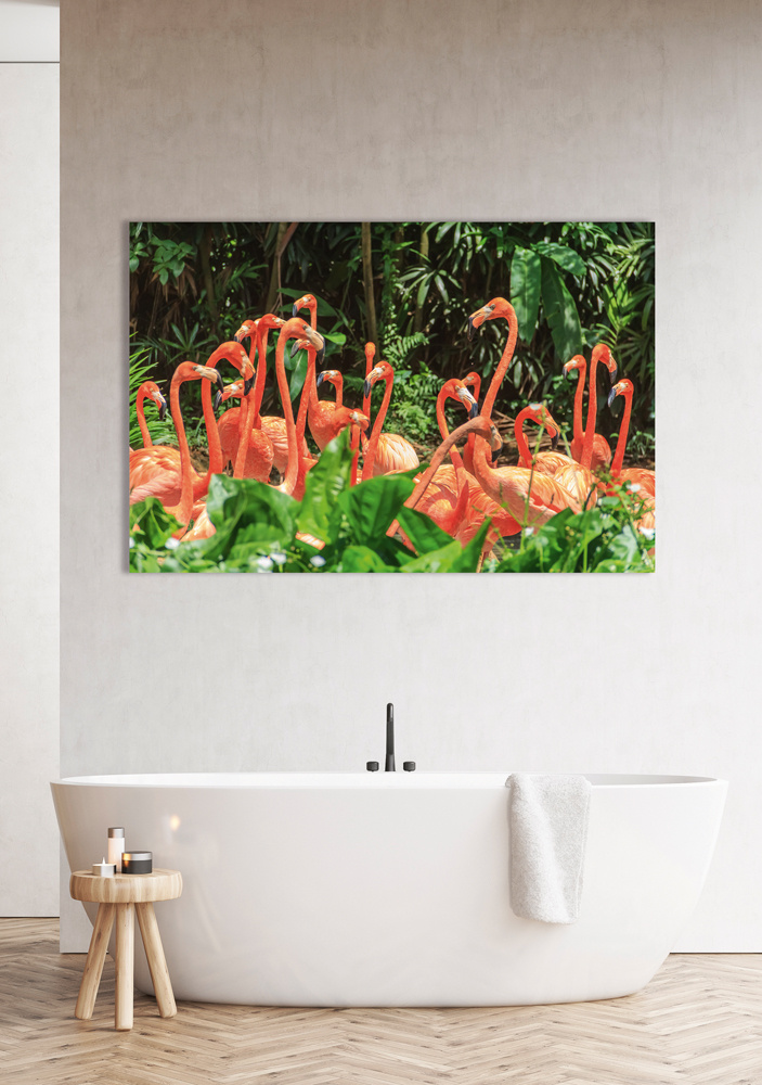 Akustikbild FLAMINGO