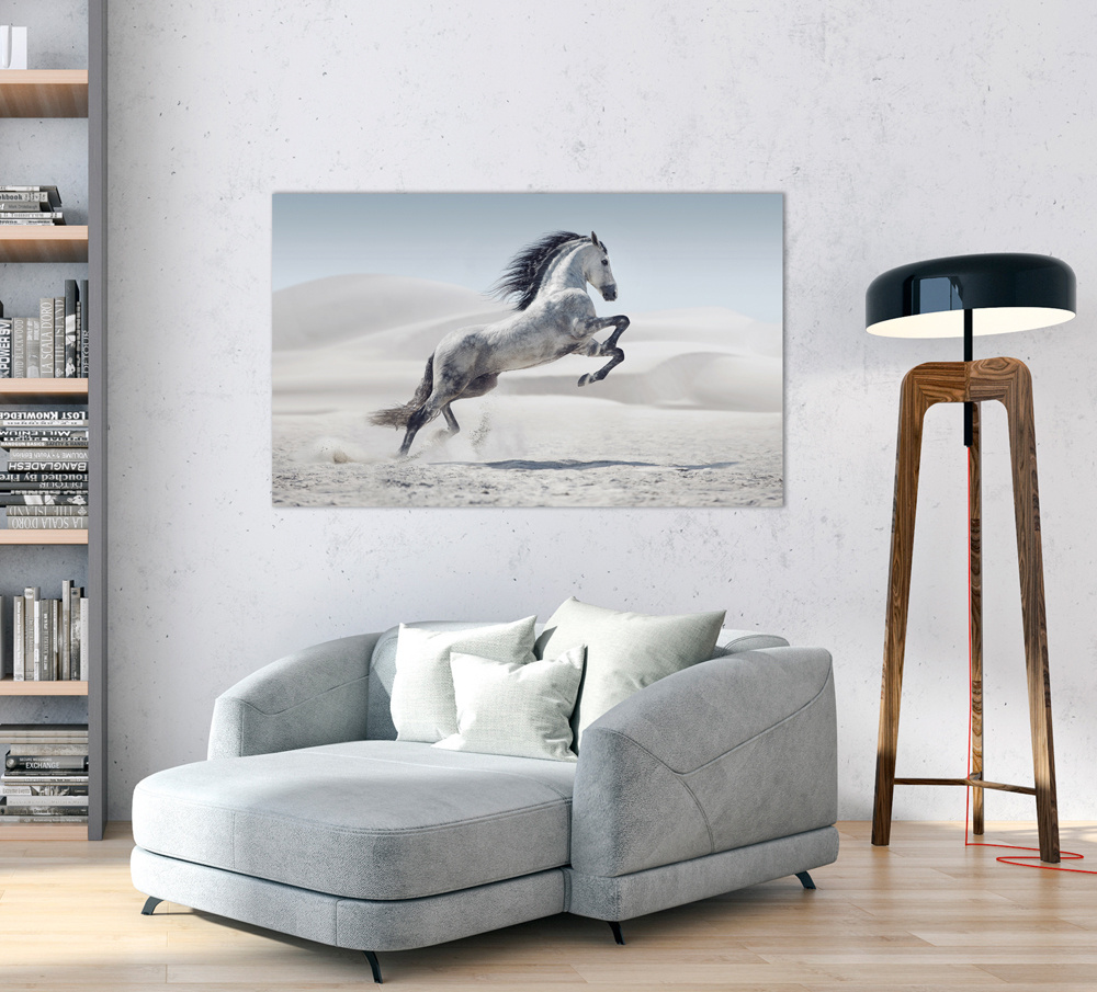 Akustikbild WILDPFERD