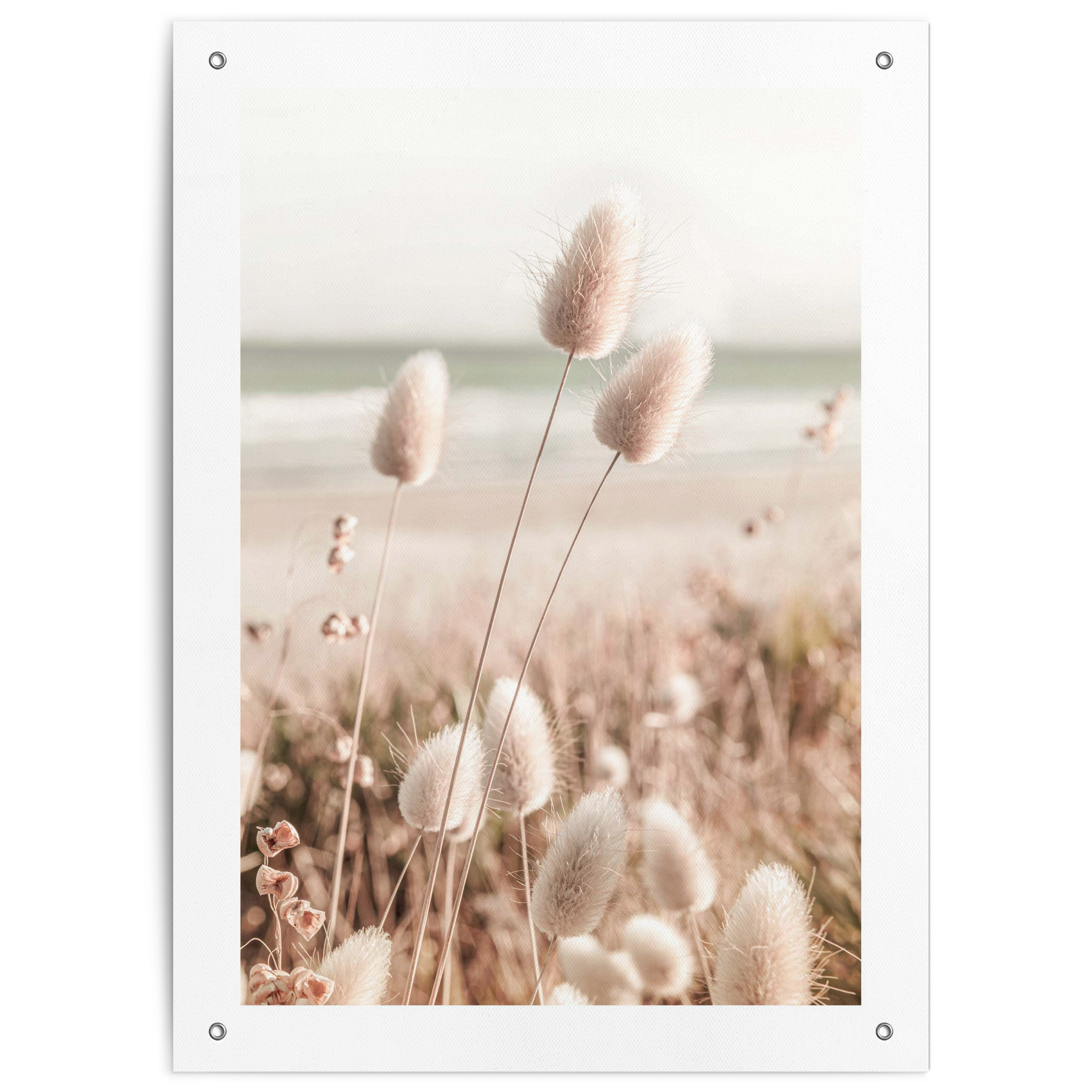 Outdoor Poster GRASSES