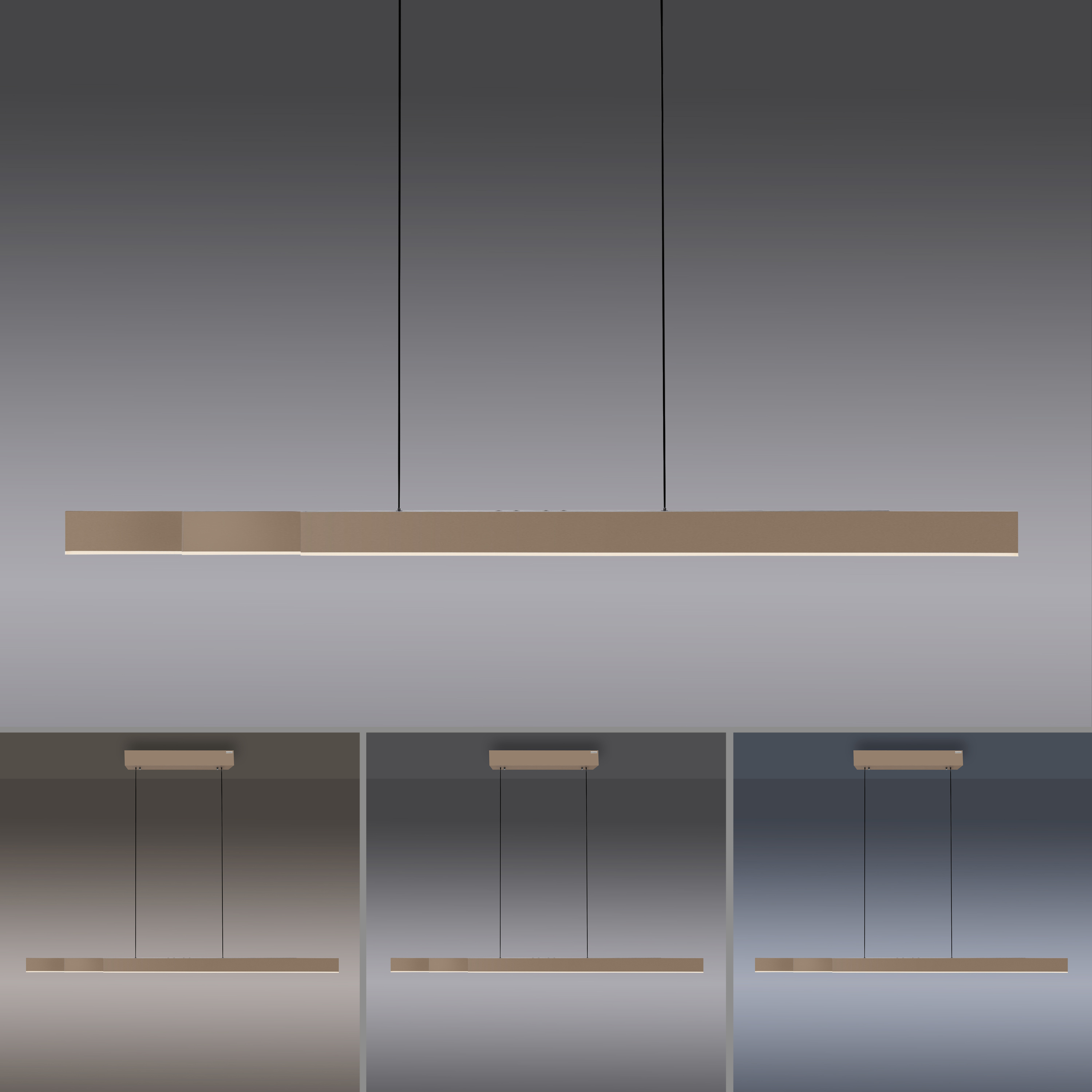 Pendelleuchte PURE MOTO-RISE