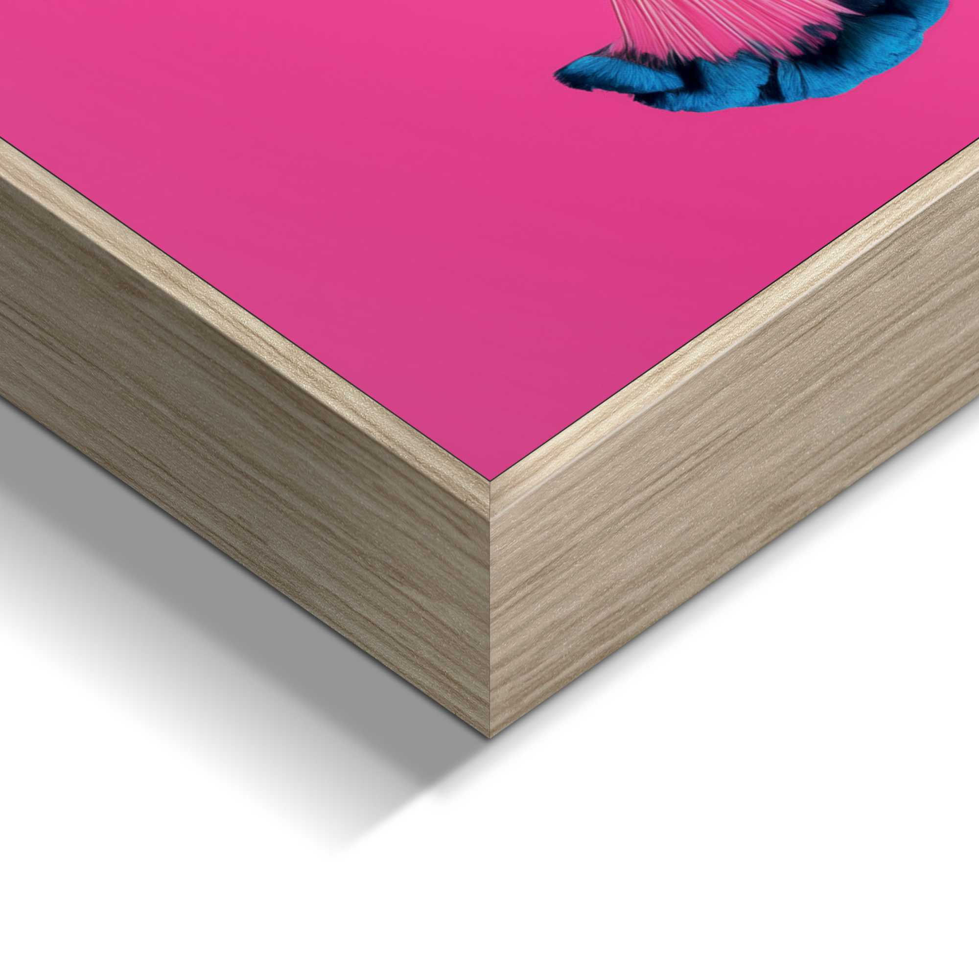 Bild PINK PEACOCK