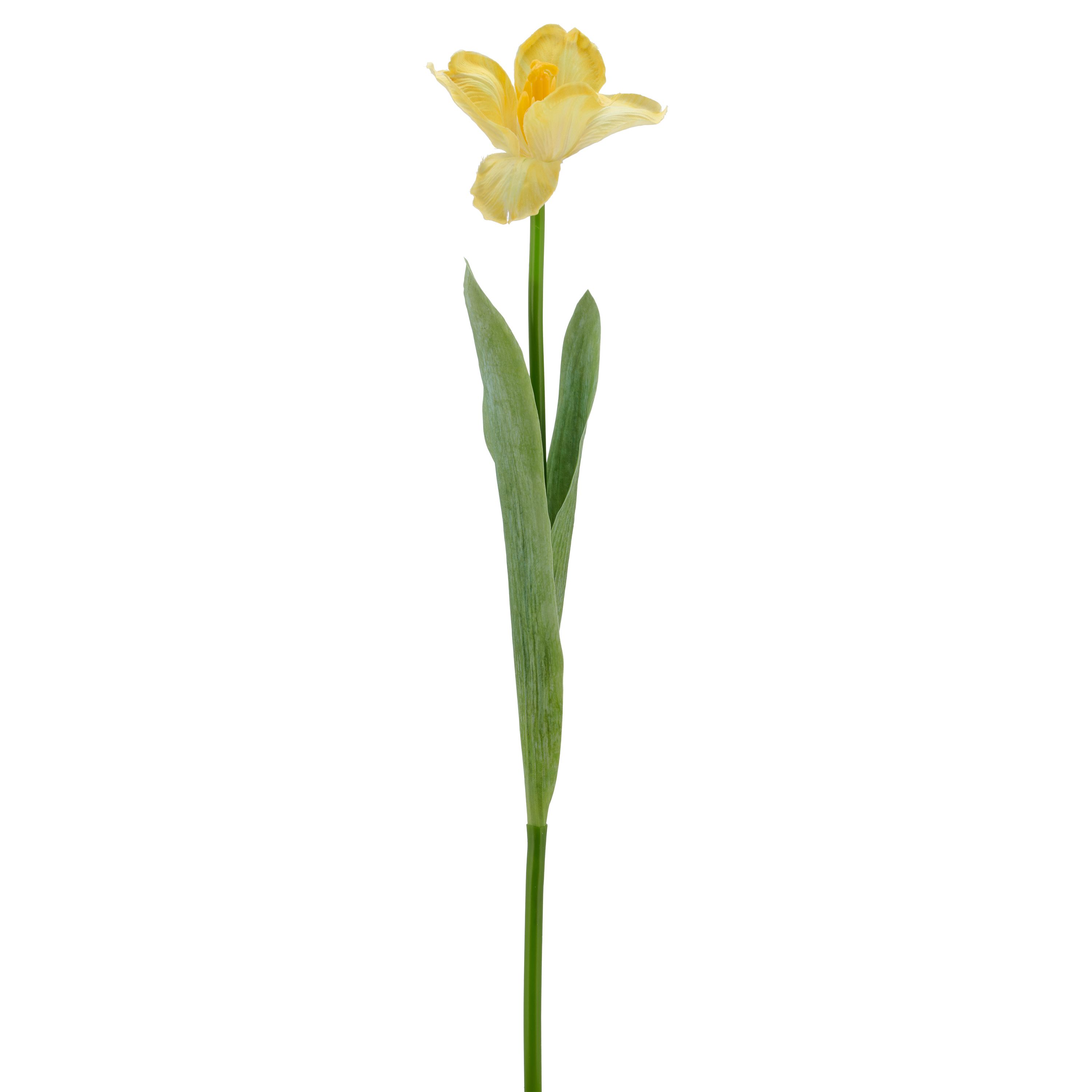 Kunstblume Tulpe