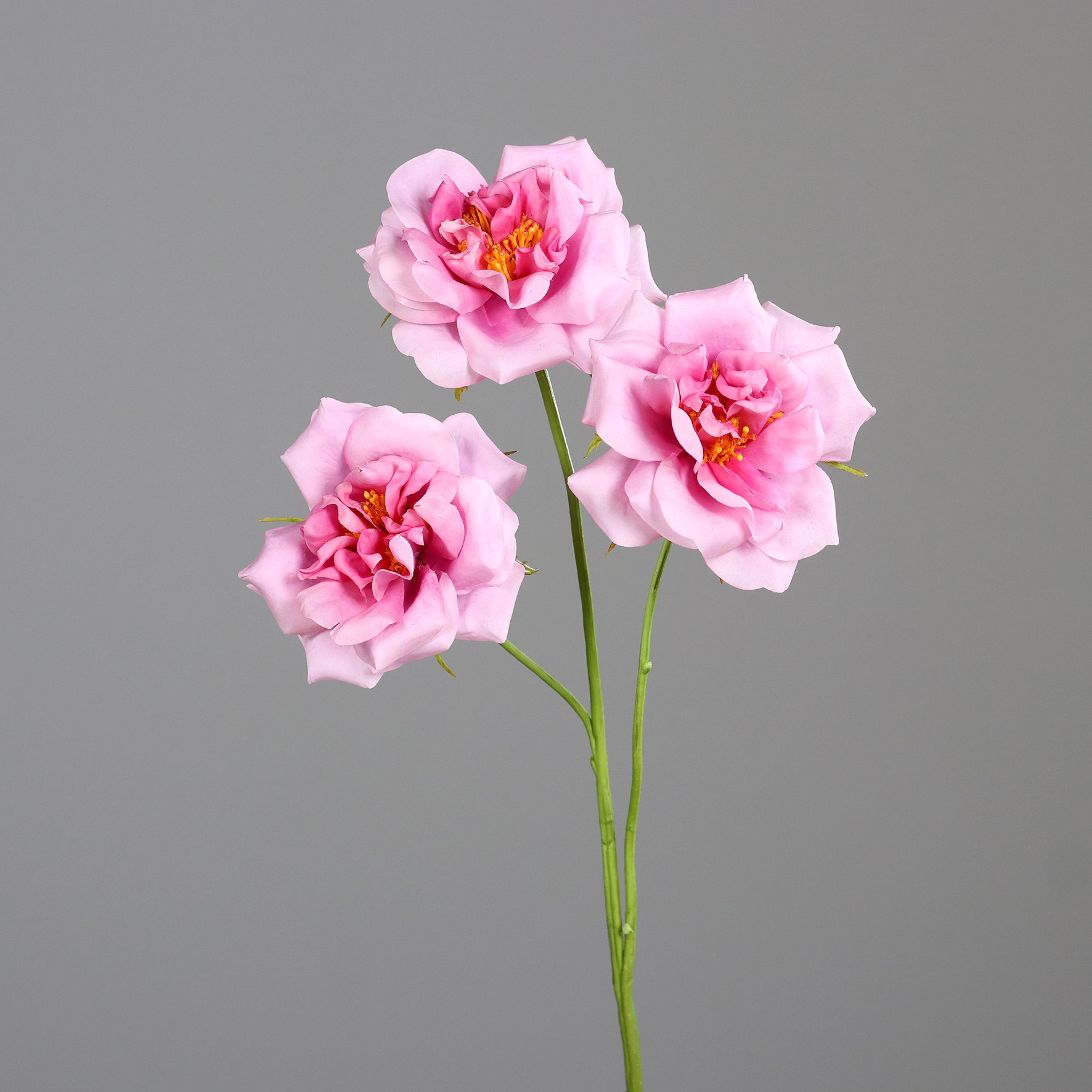 Kunstblume Rosenzweig