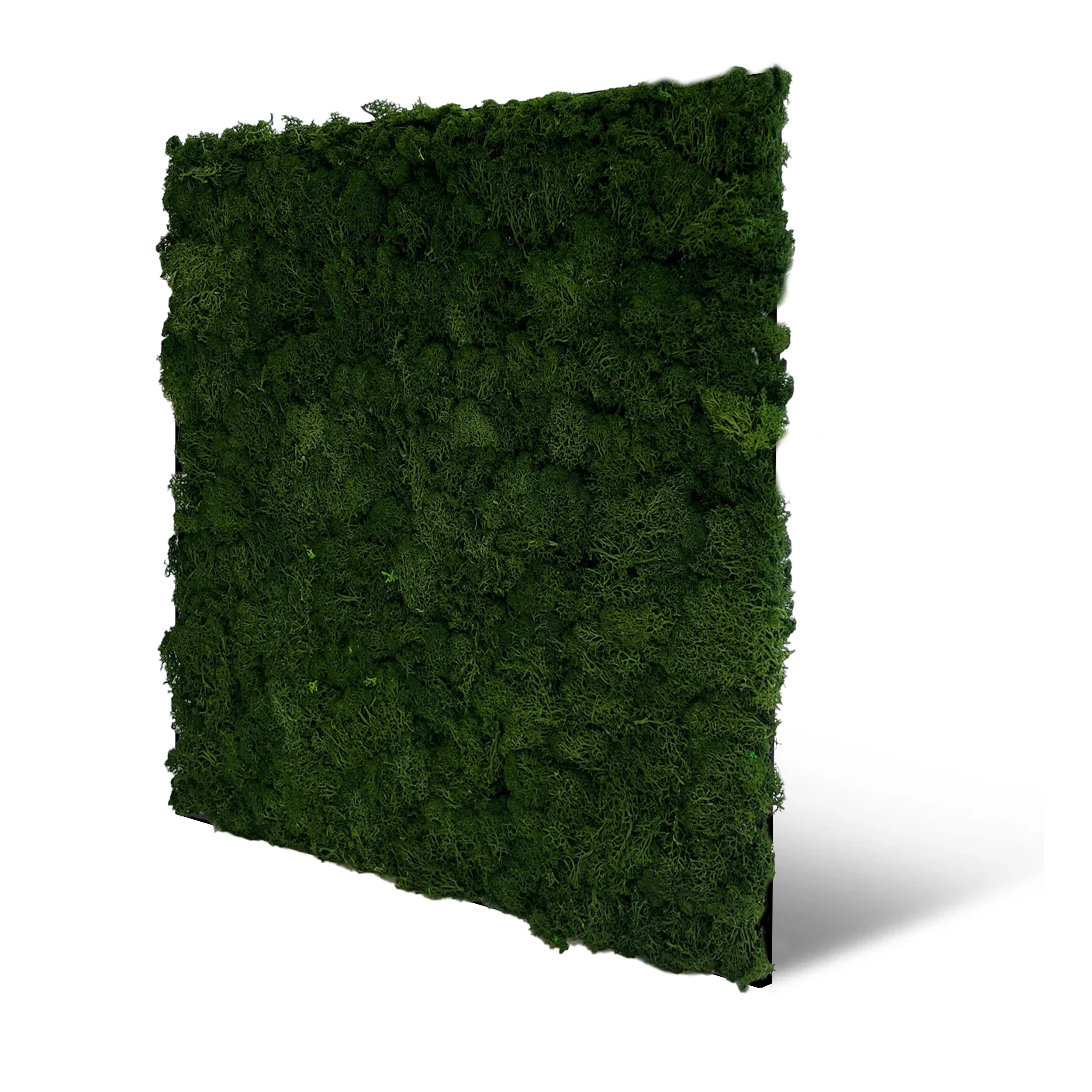 Wandpaneel MODULAR WALL