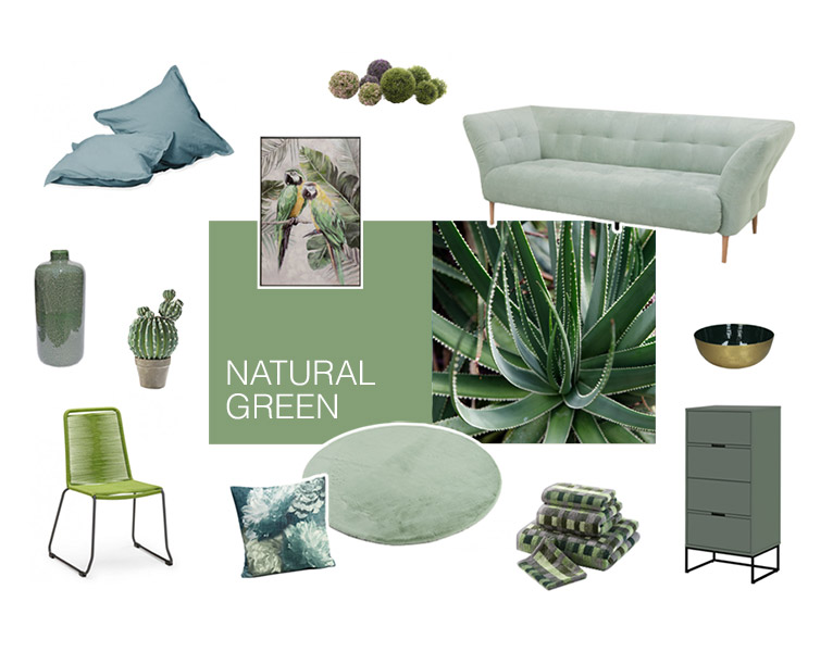 Farbwelt Natural Green - Arrangement von Möbeln und Accessoires in Farbtönen von Grün bis Grau - Foto einer Aloe Vera Pflanze