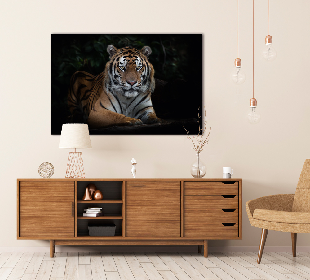 Akustikbild IMPOSANTER TIGER