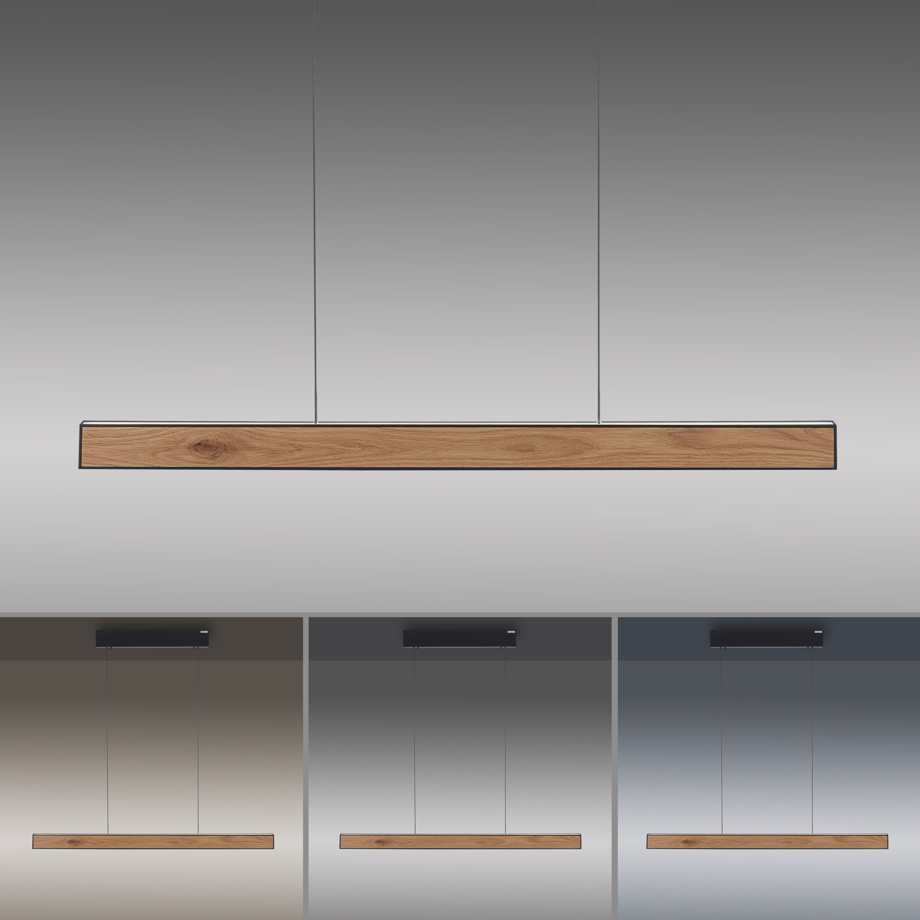 Pendelleuchte PURE E-MOTION