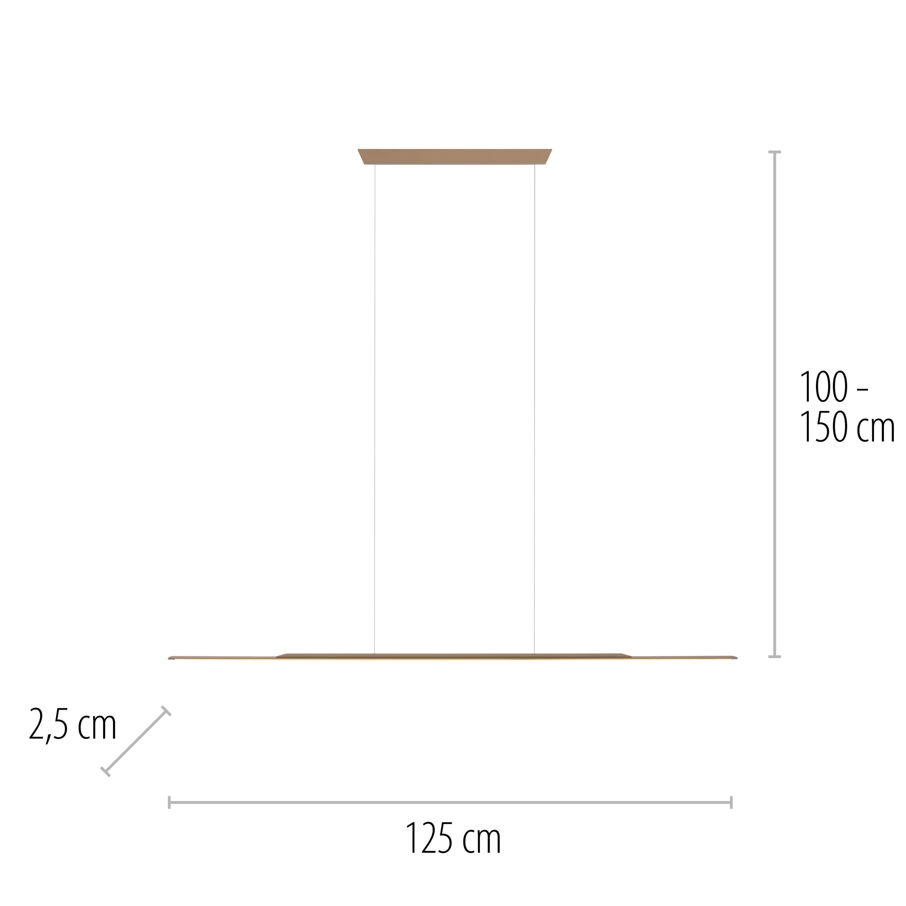 Pendelleuchte PURE SURFACE