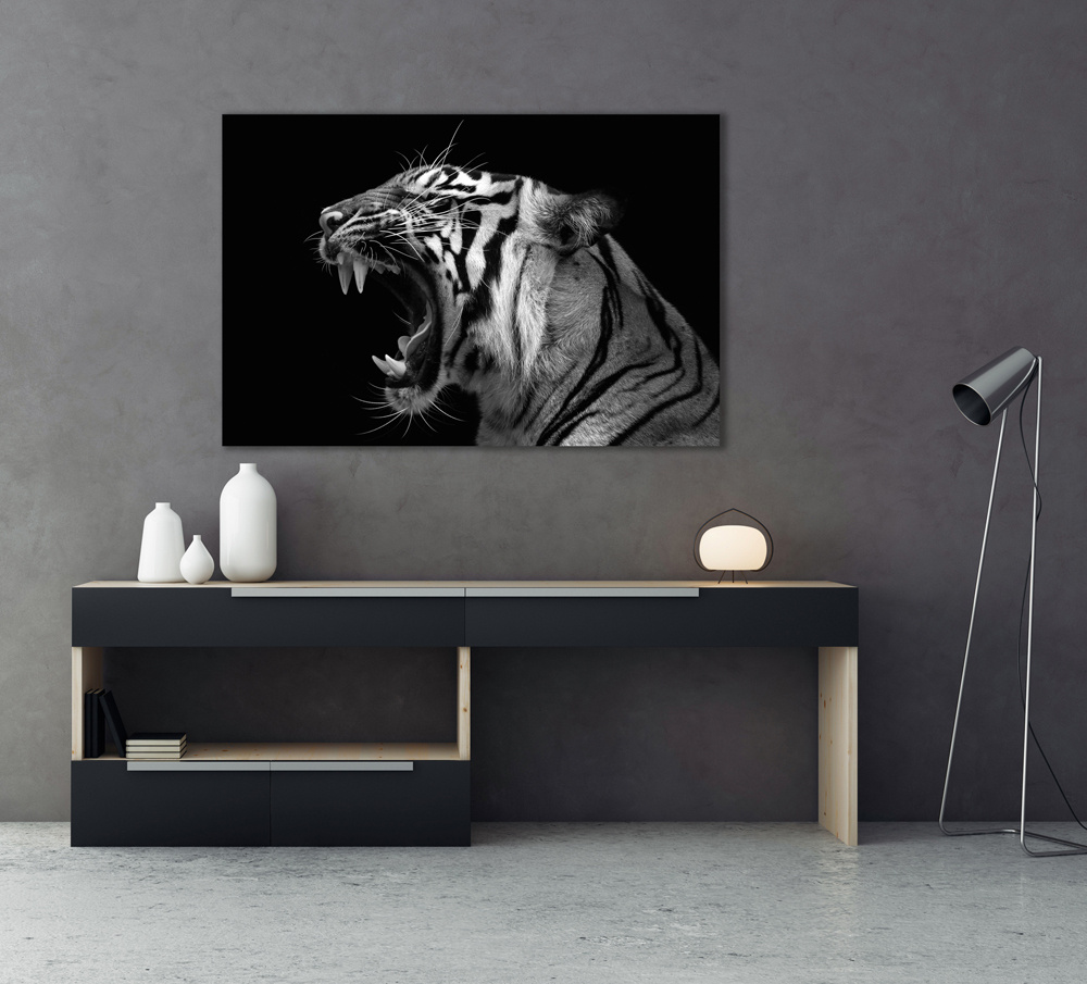 Akustikbild FAUCHENDER TIGER