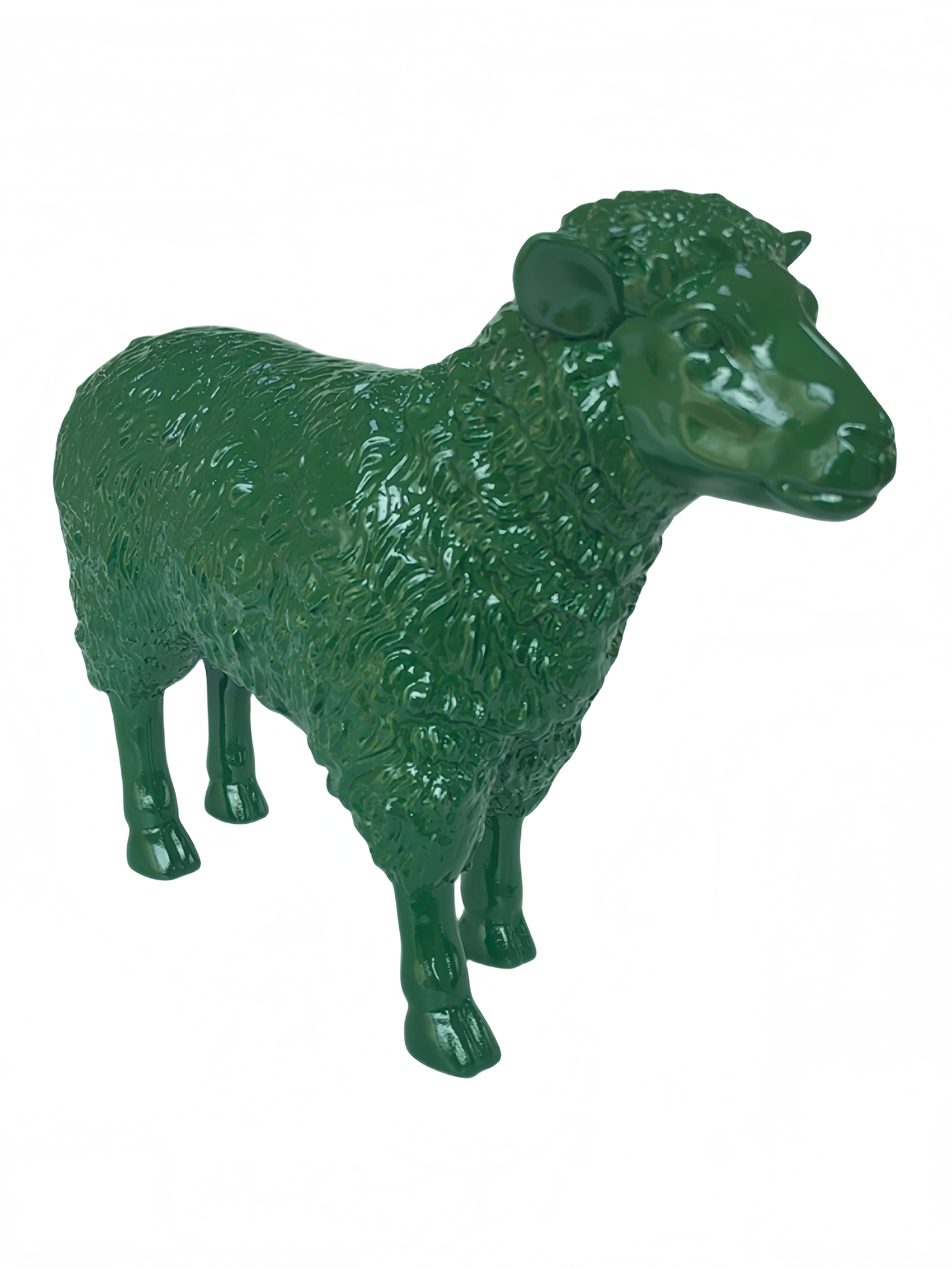 Schaf