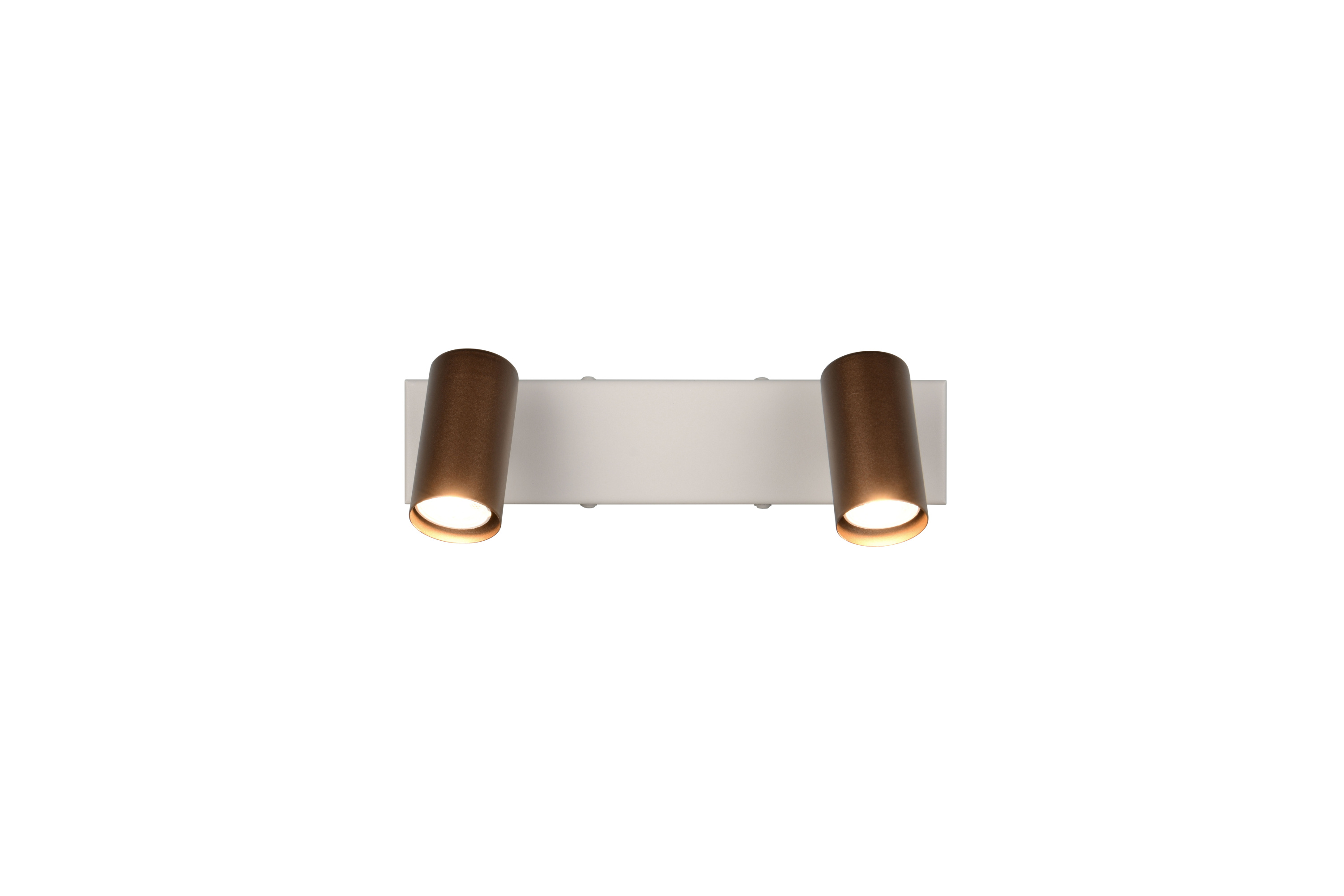 Deckenspot TARYN 2-flammig