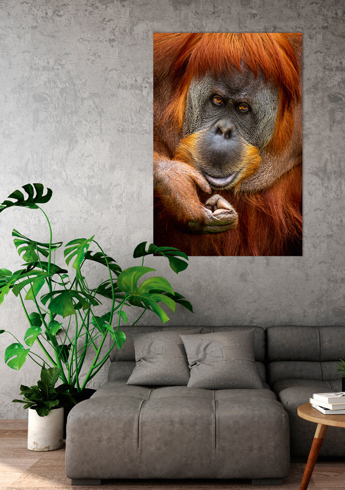 Akustikbild ORANG-UTAN