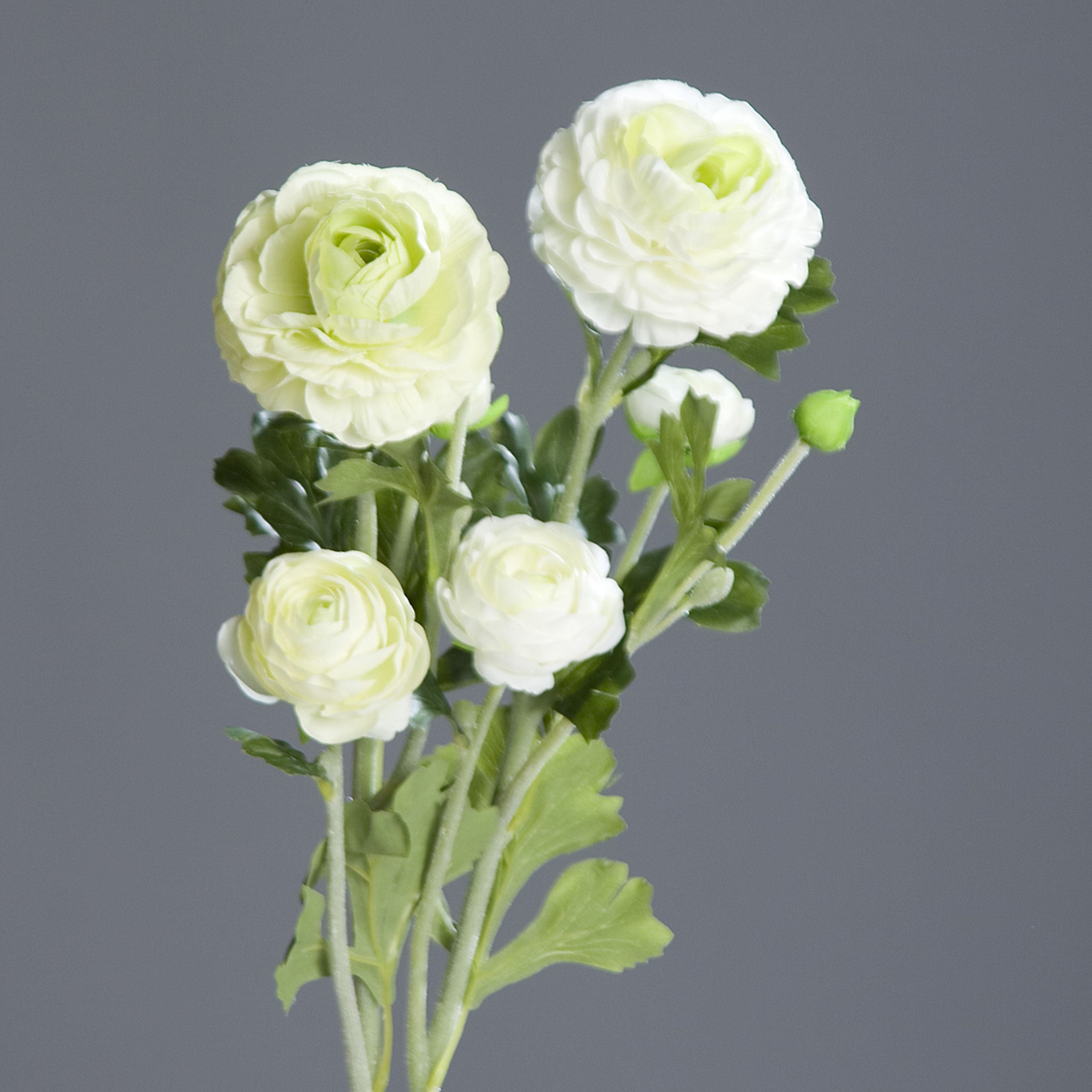 Kunstblume Ranunkel
