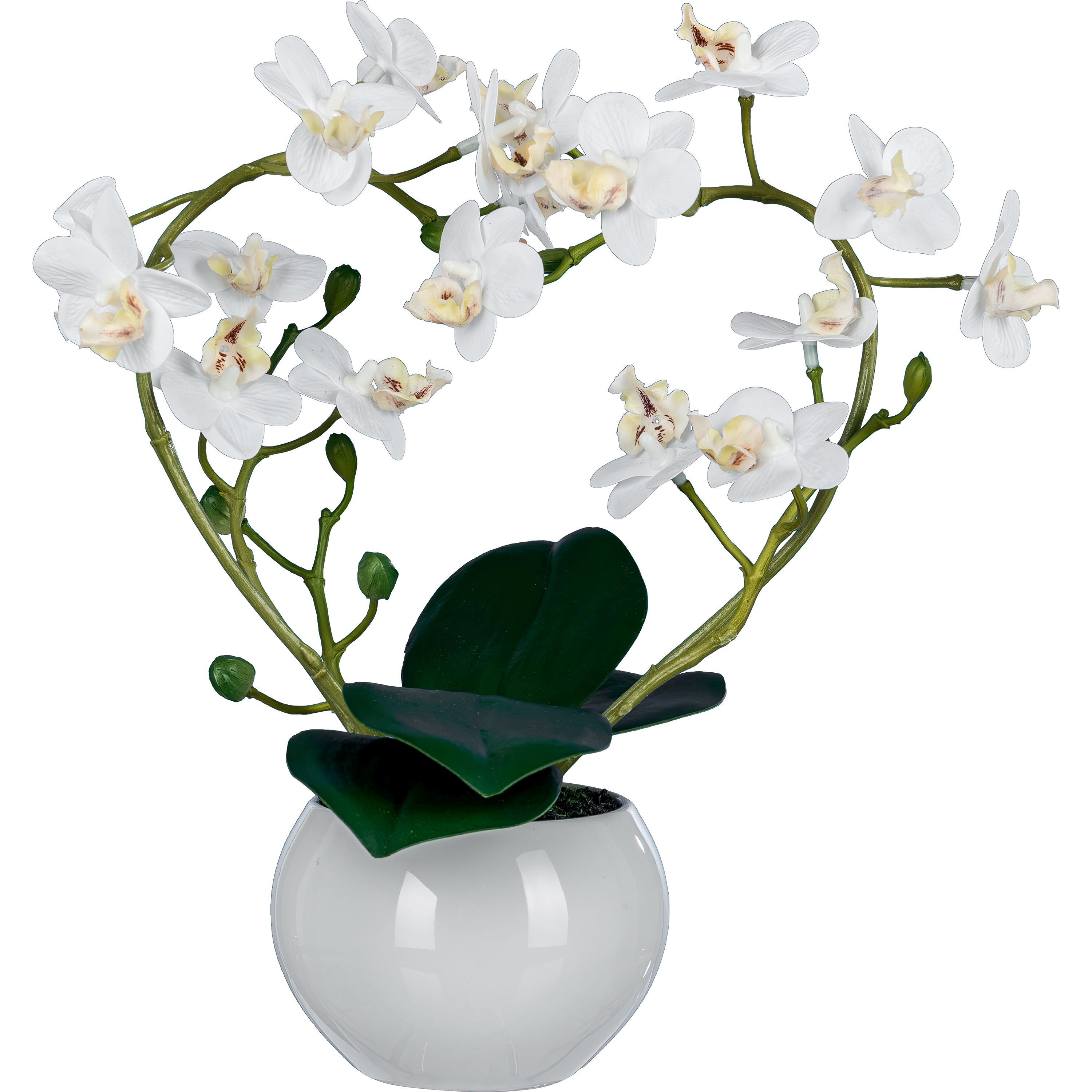 Kunstpflanze Phalaenopsis