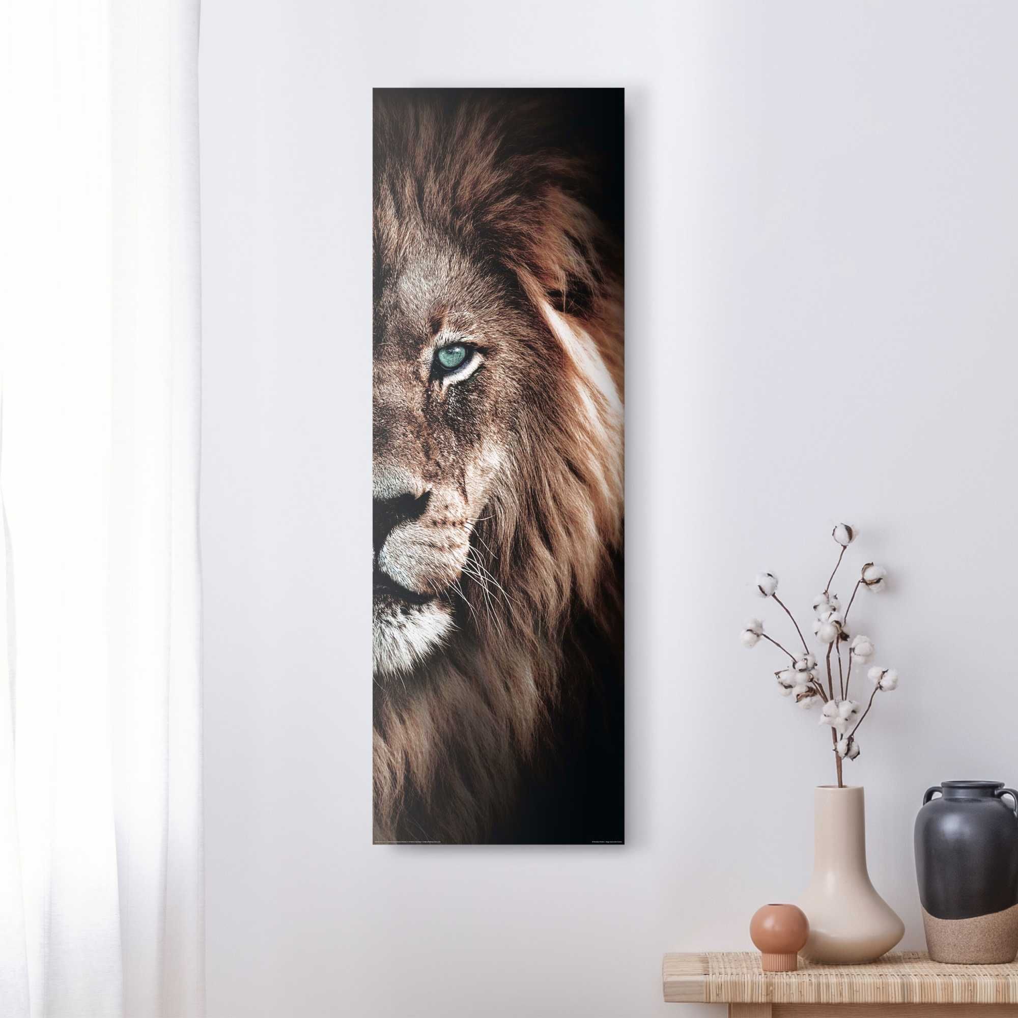 Bild HALF LION