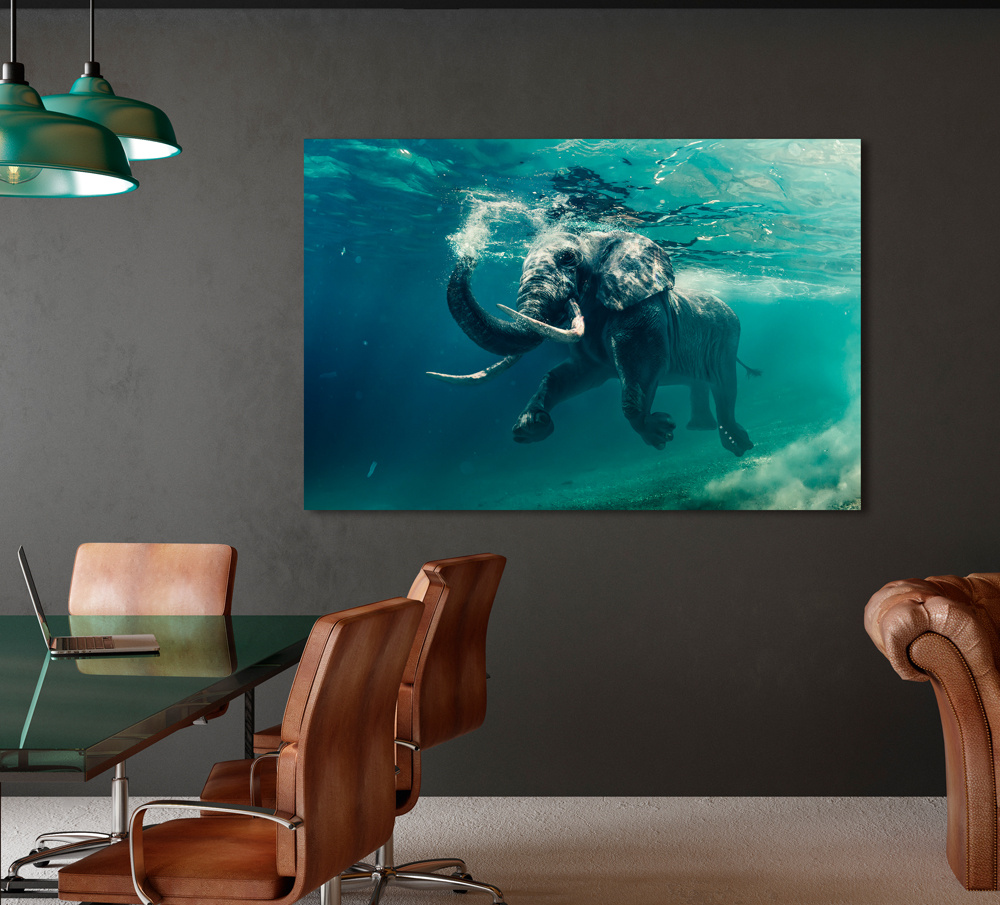Akustikbild ELEFANT