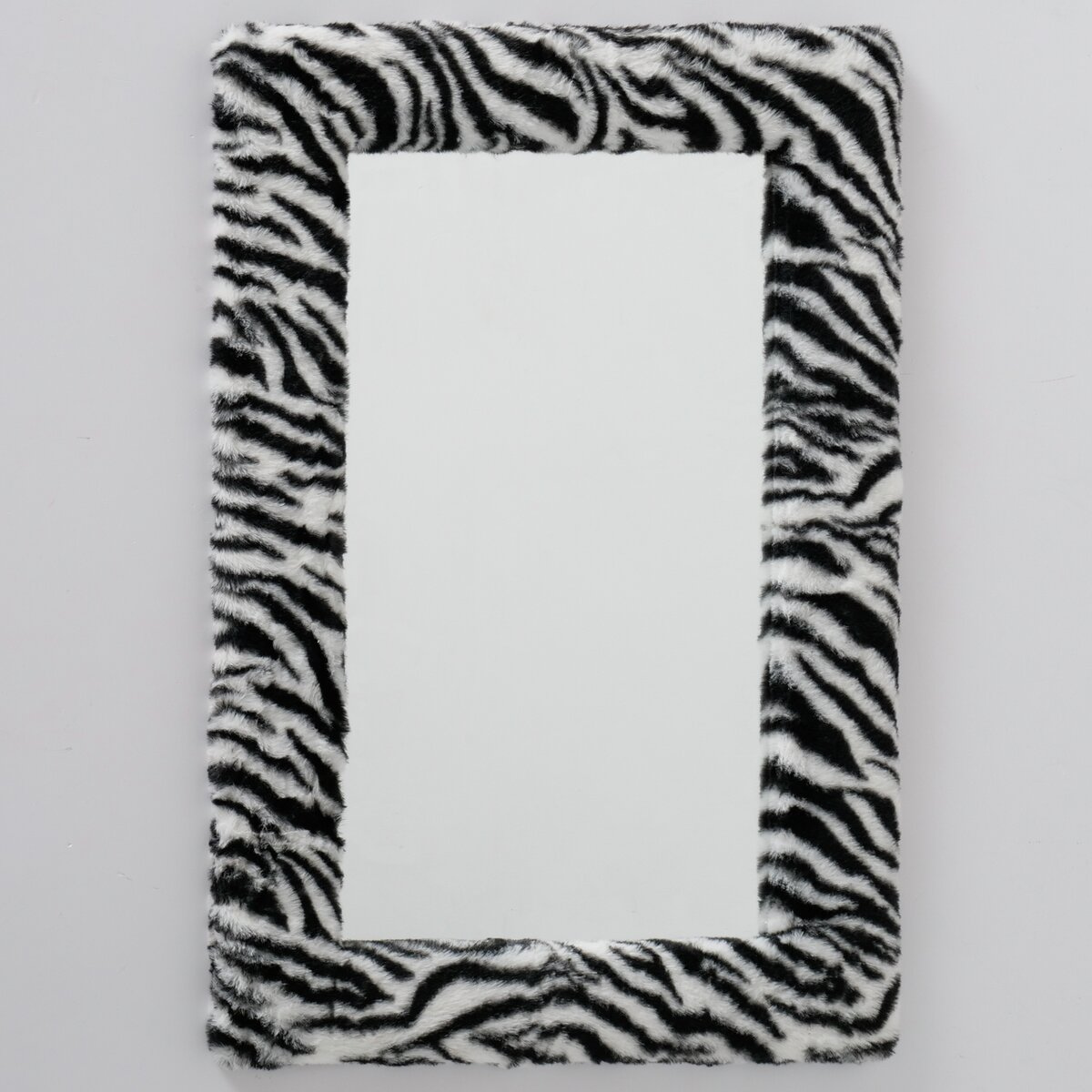 Spiegel ZEBRA