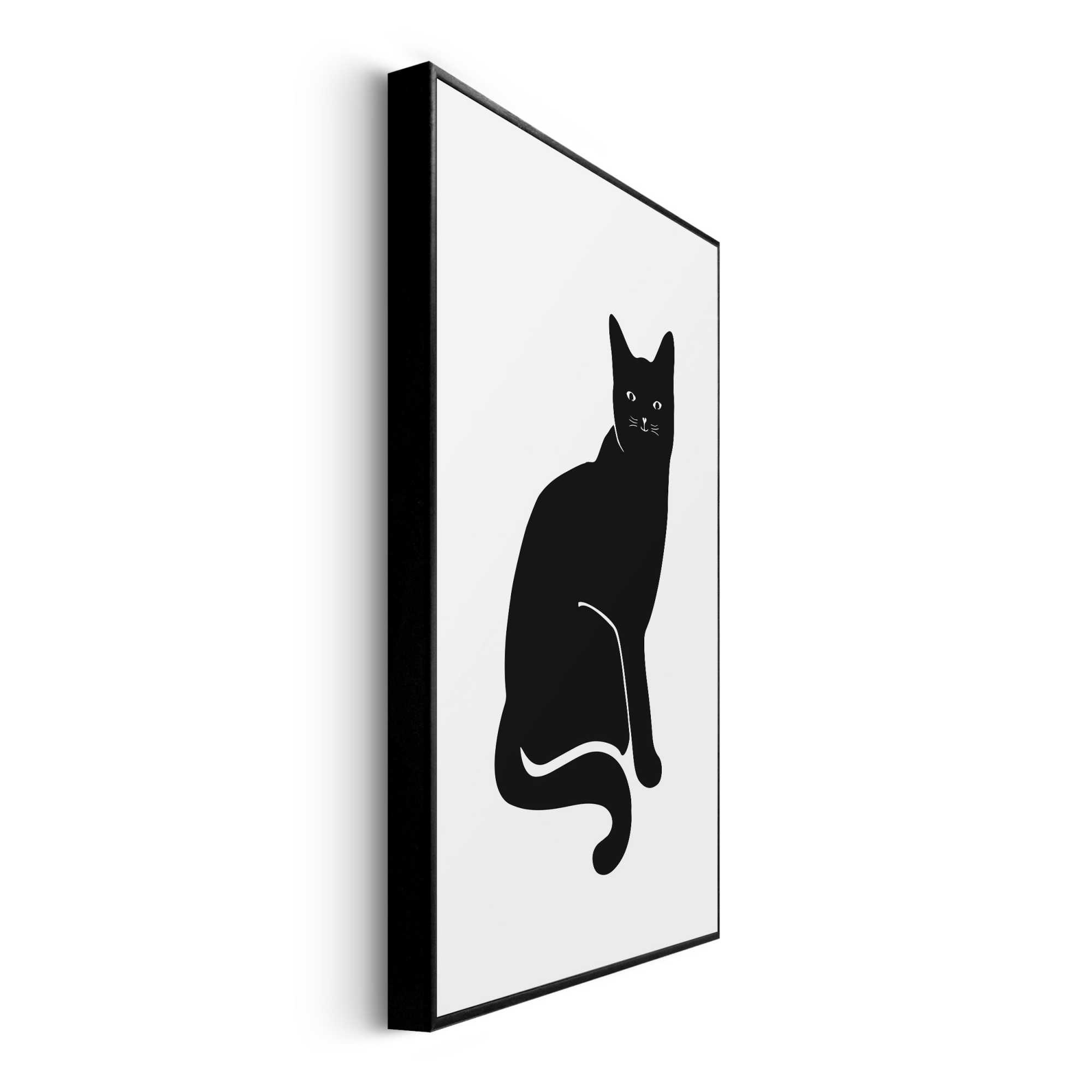 Bild BLACK CAT