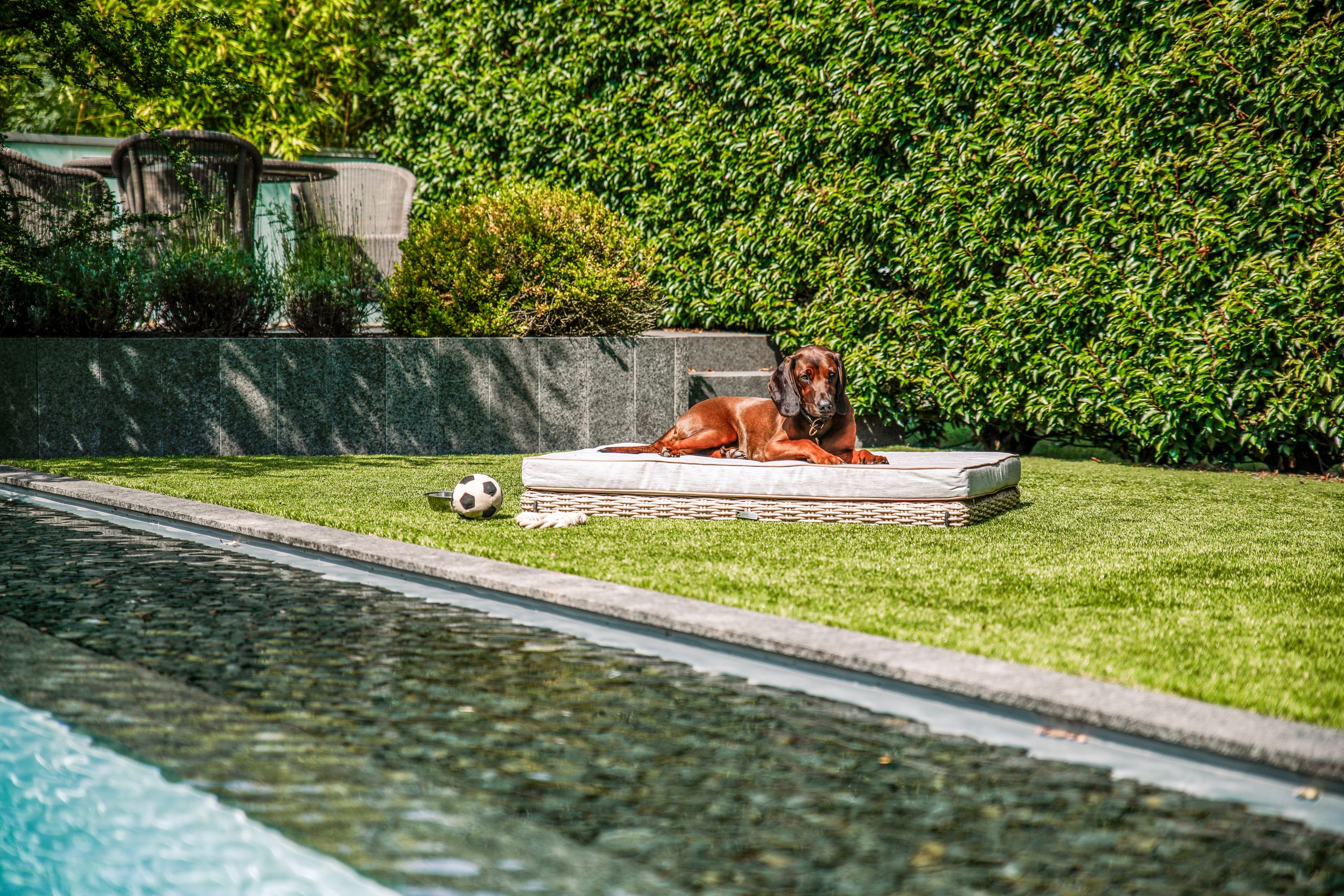 Hundesofa greemotion Outdoor