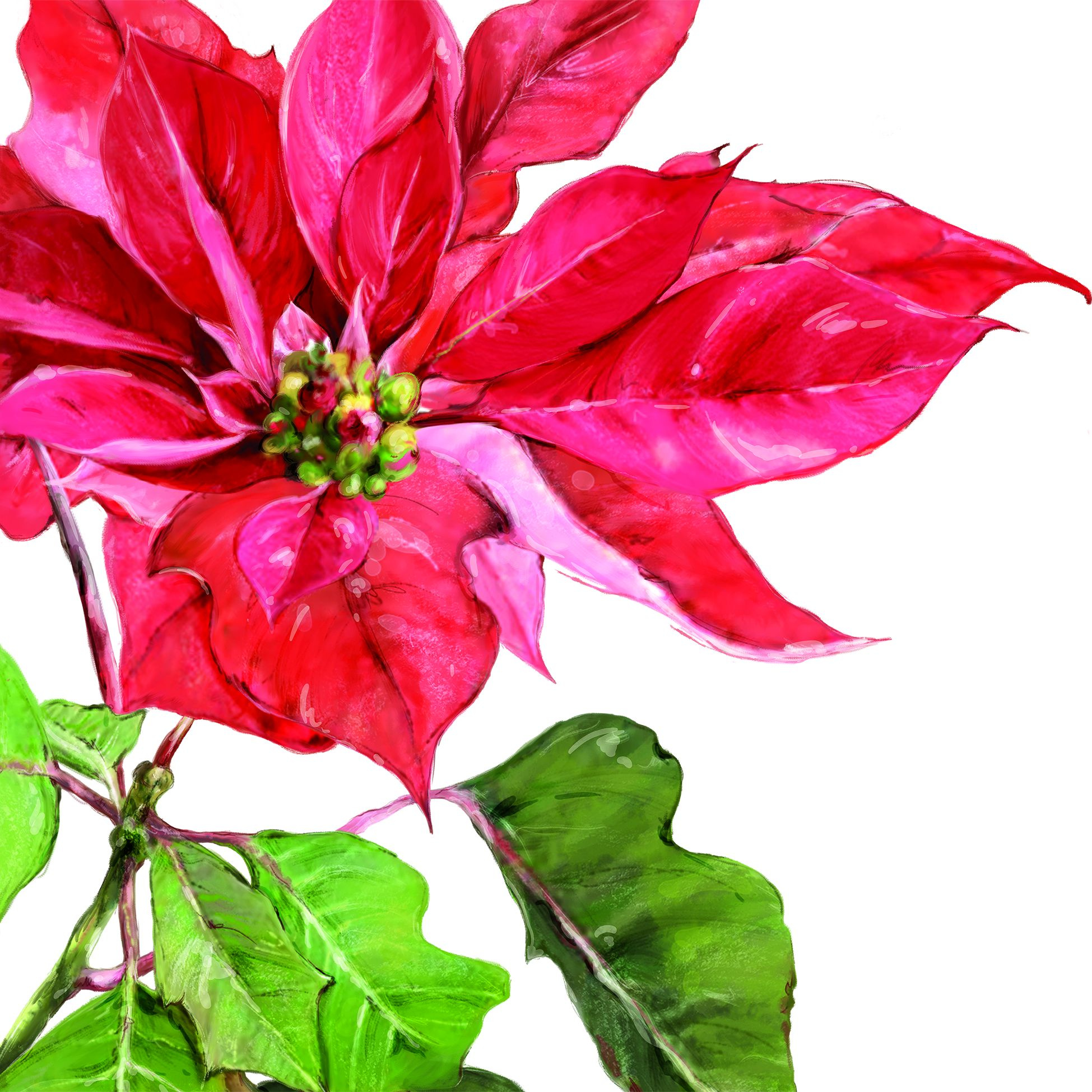 Servietten POINSETTIA