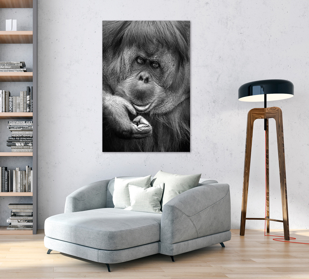 Akustikbild ORANG-UTAN