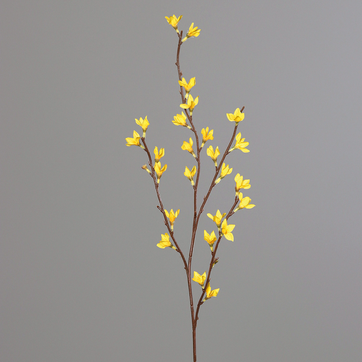 Kunstblume FORSYTHIE