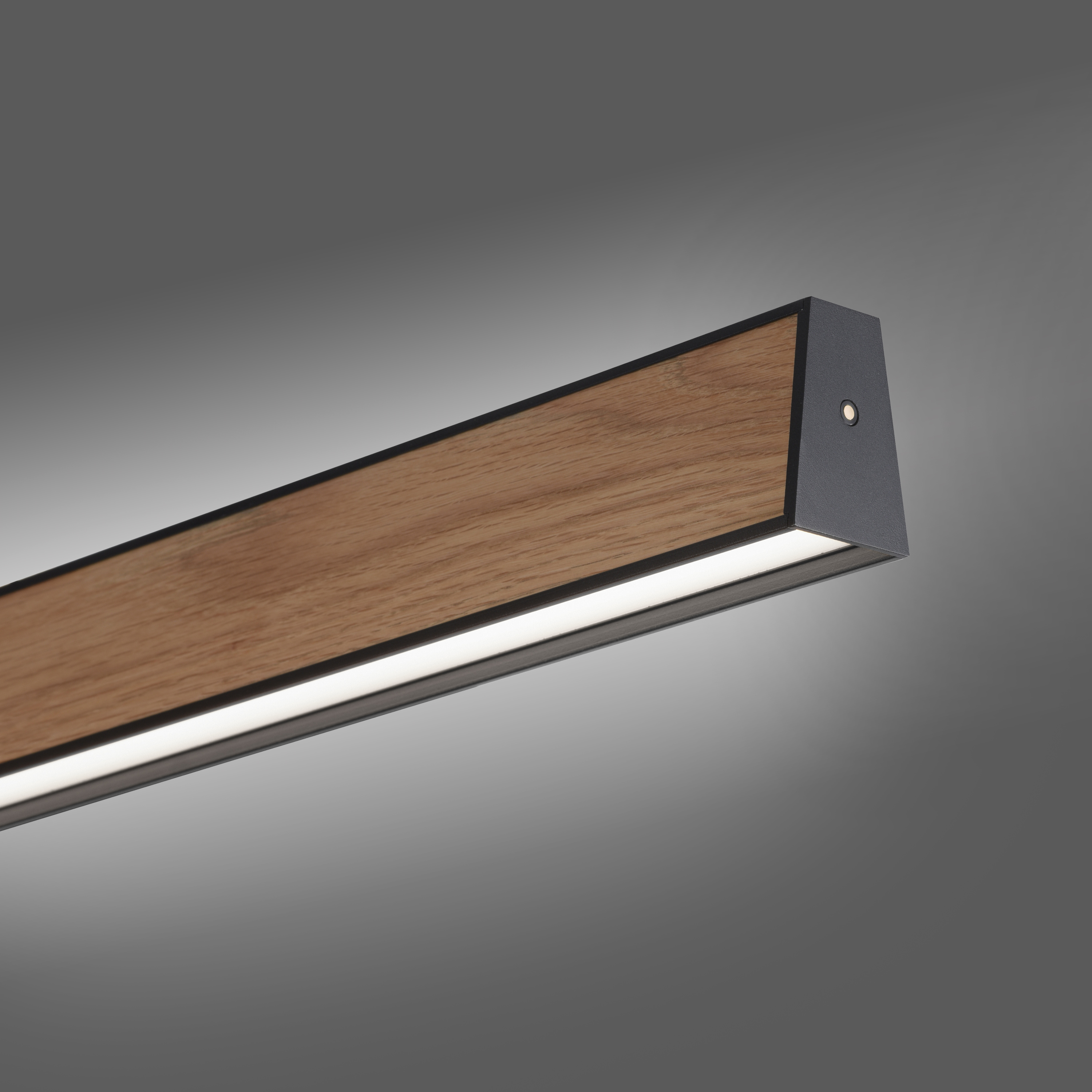 Pendelleuchte PURE E-MOTION