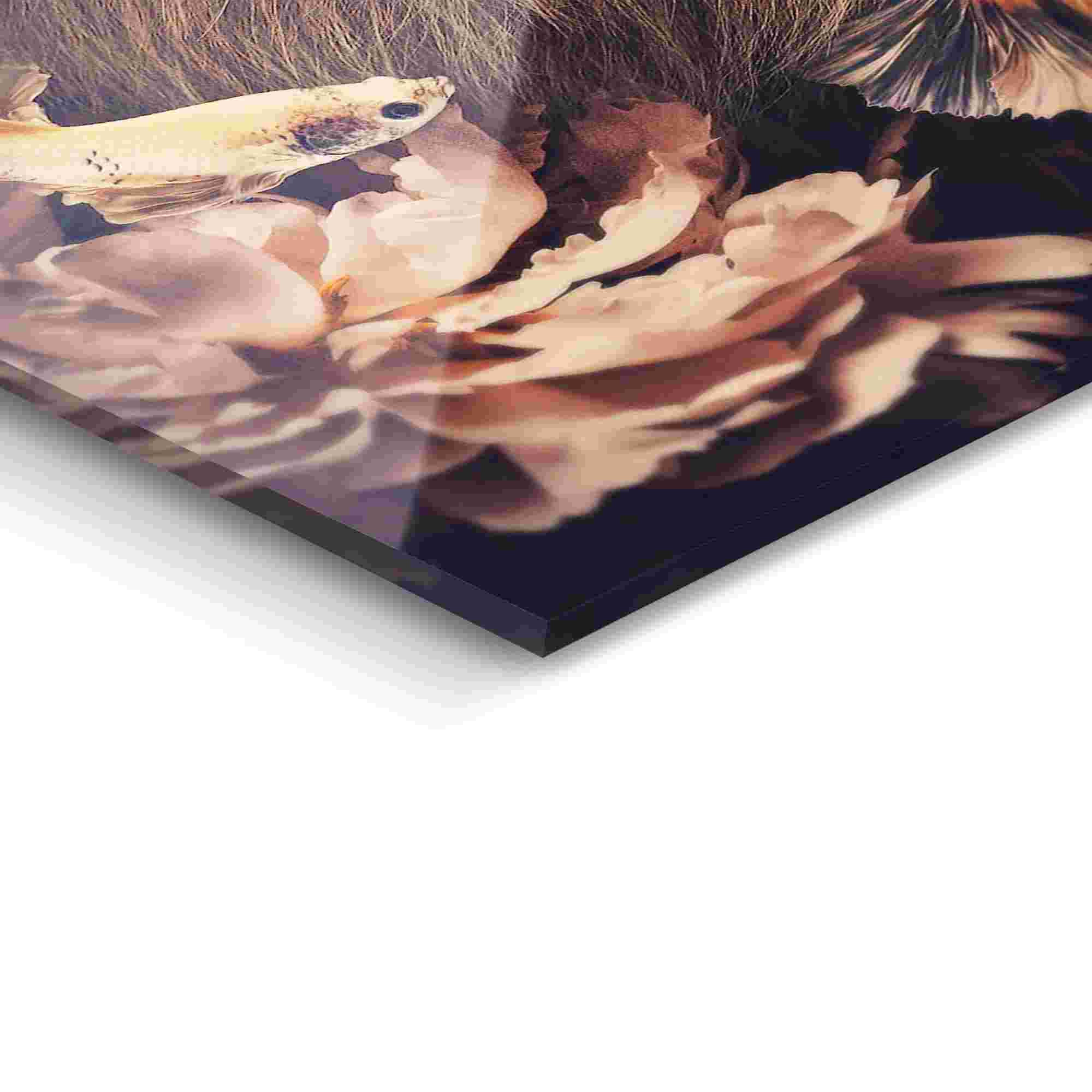 Glasbild JUNGLE LION