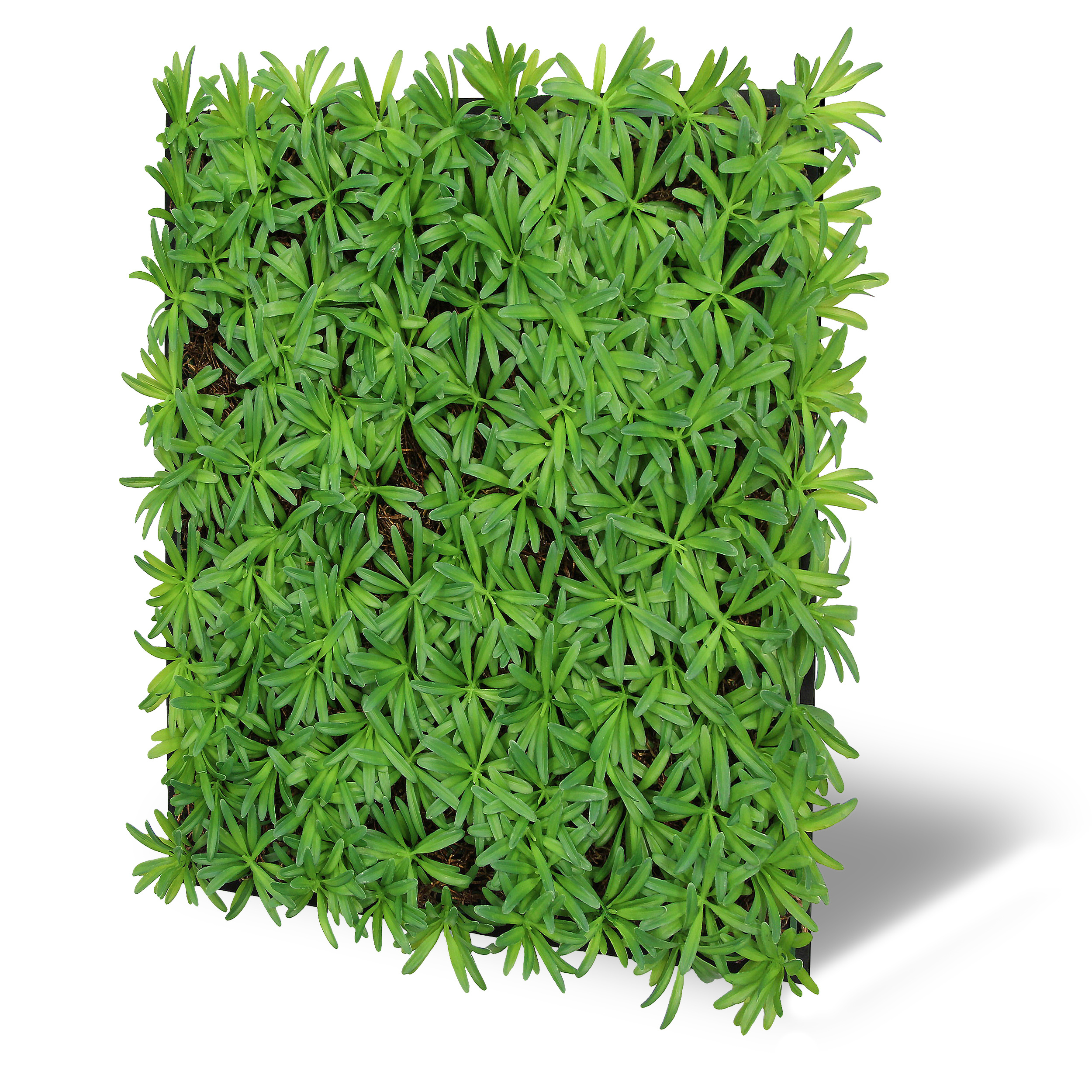 Wandpaneel MODULAR WALL