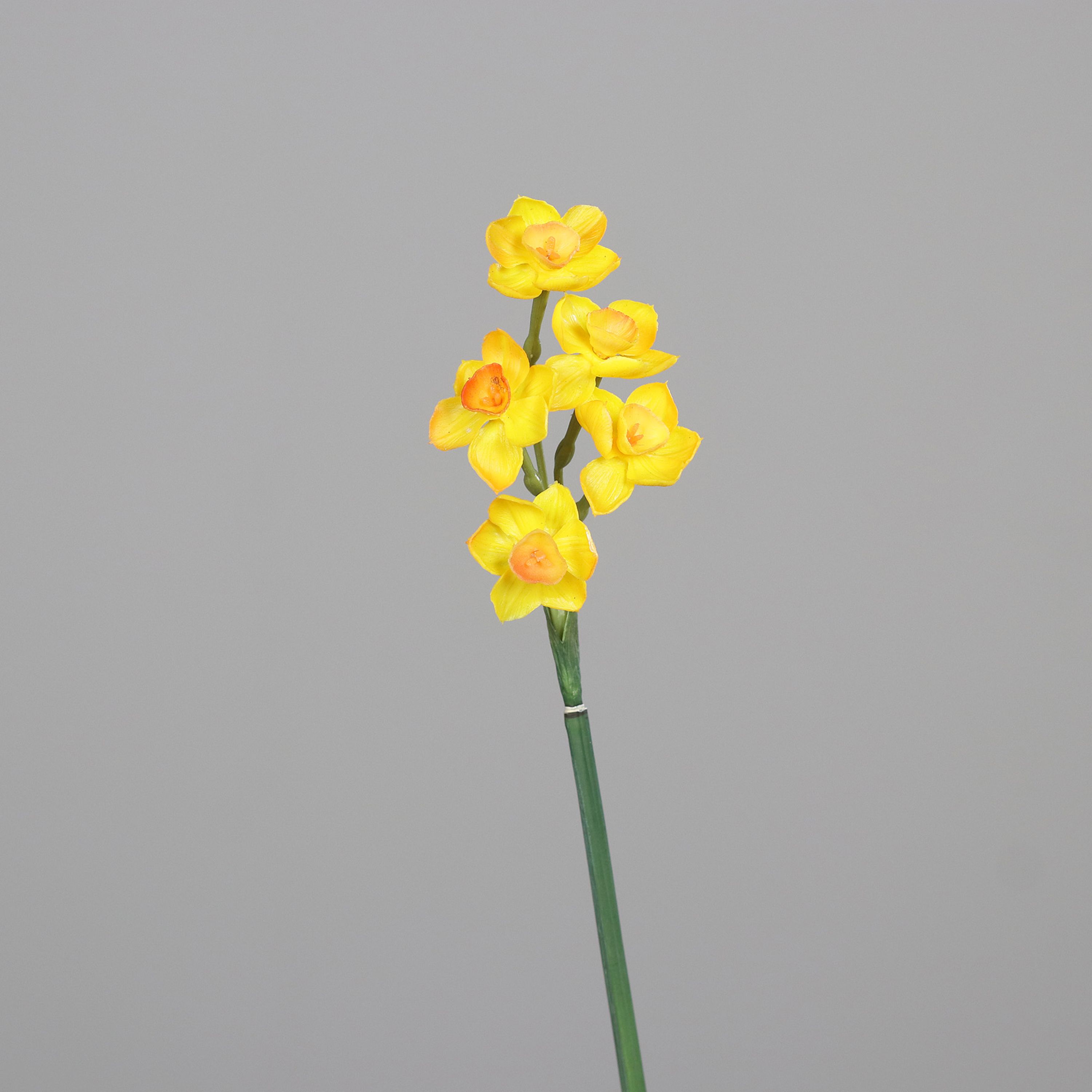 Kunstblume Narzisse