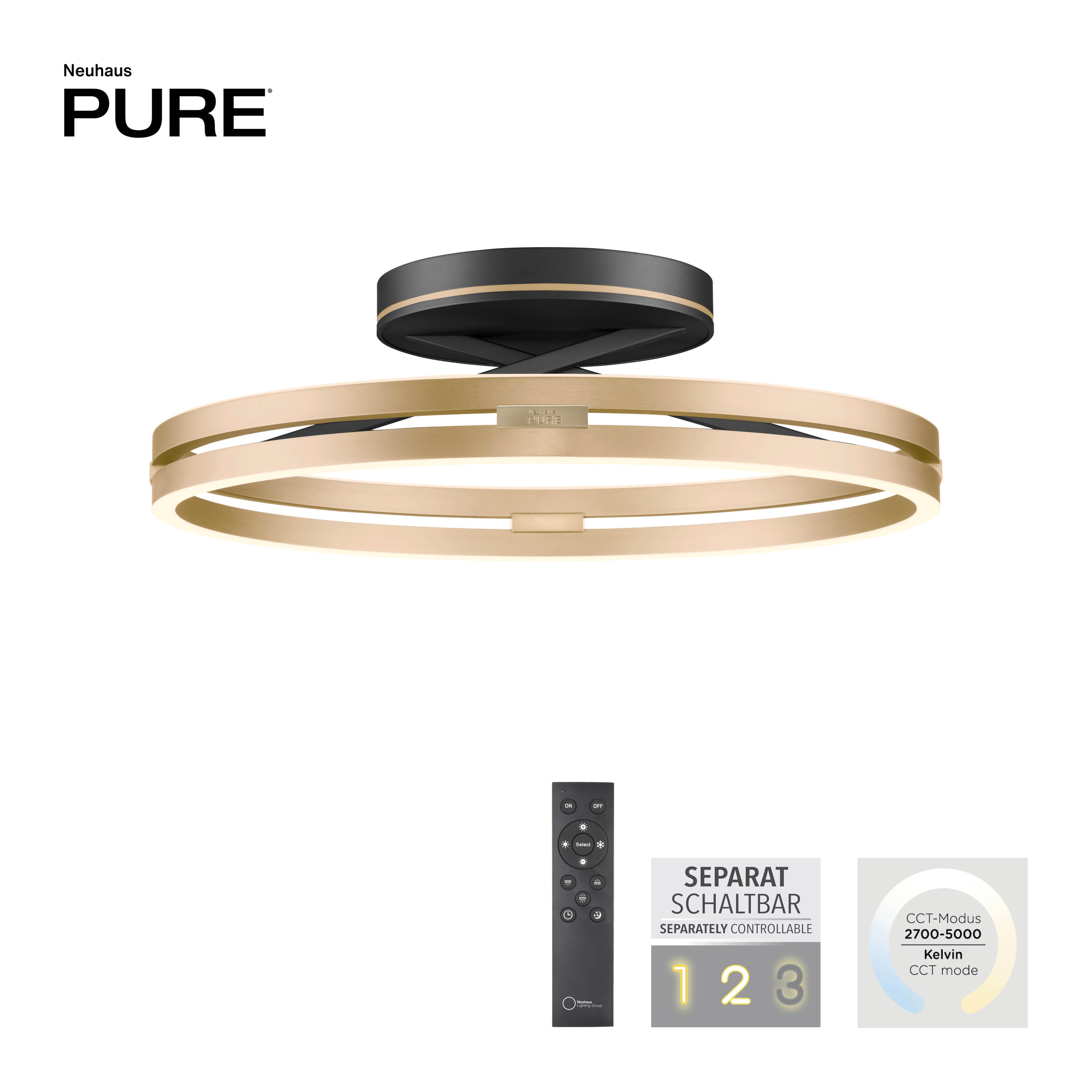 Deckenleuchte PURE LOOP