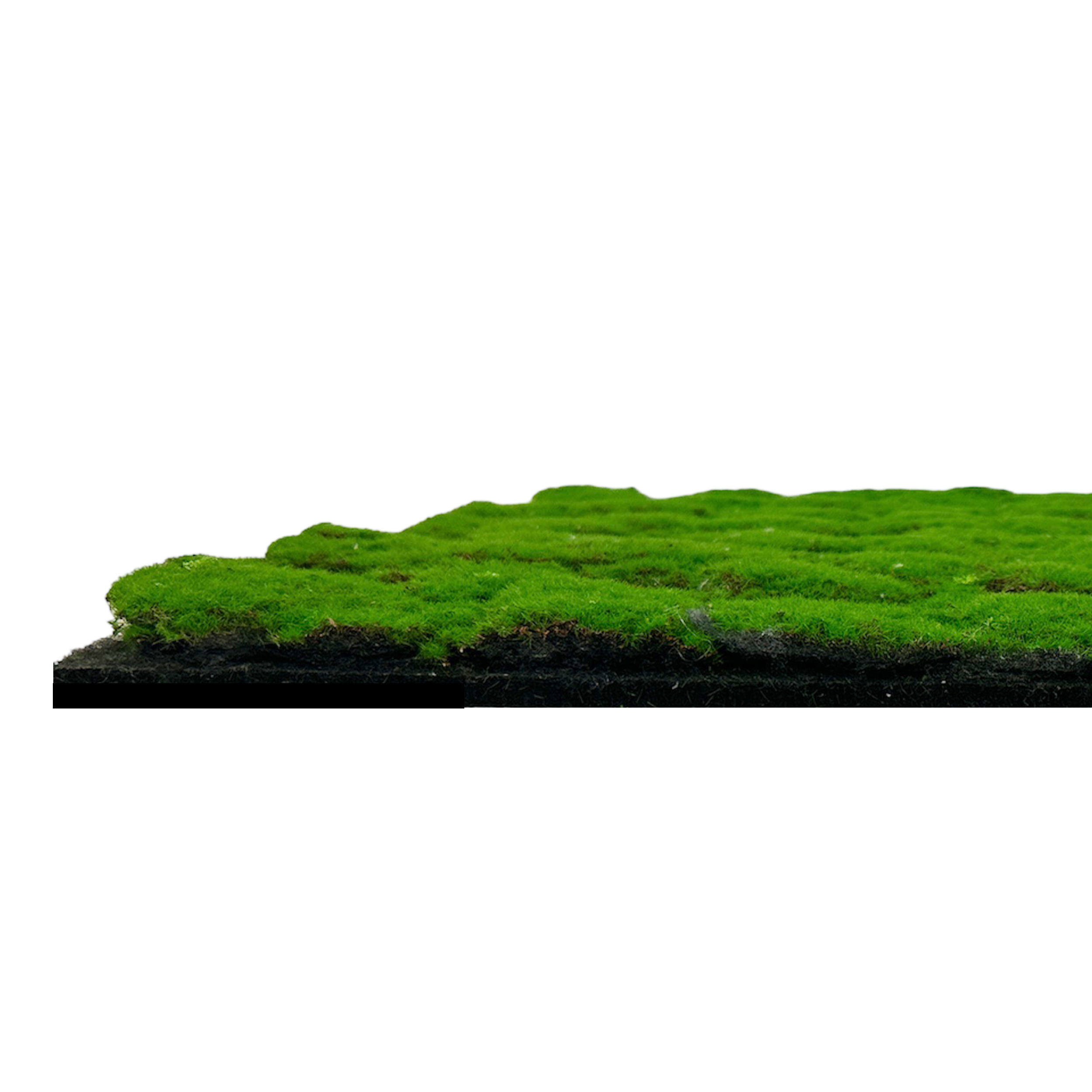 Wandpaneel MODULAR WALL