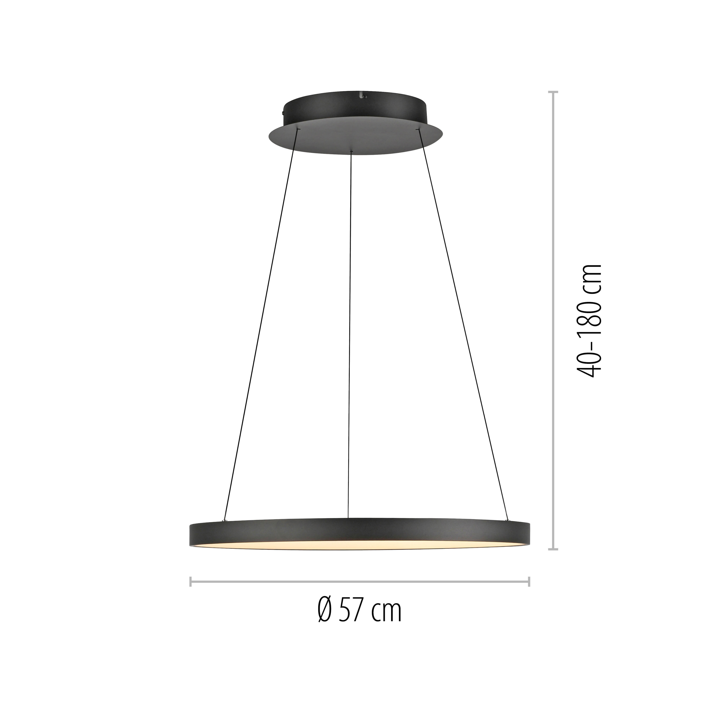 Pendelleuchte HOOP LED