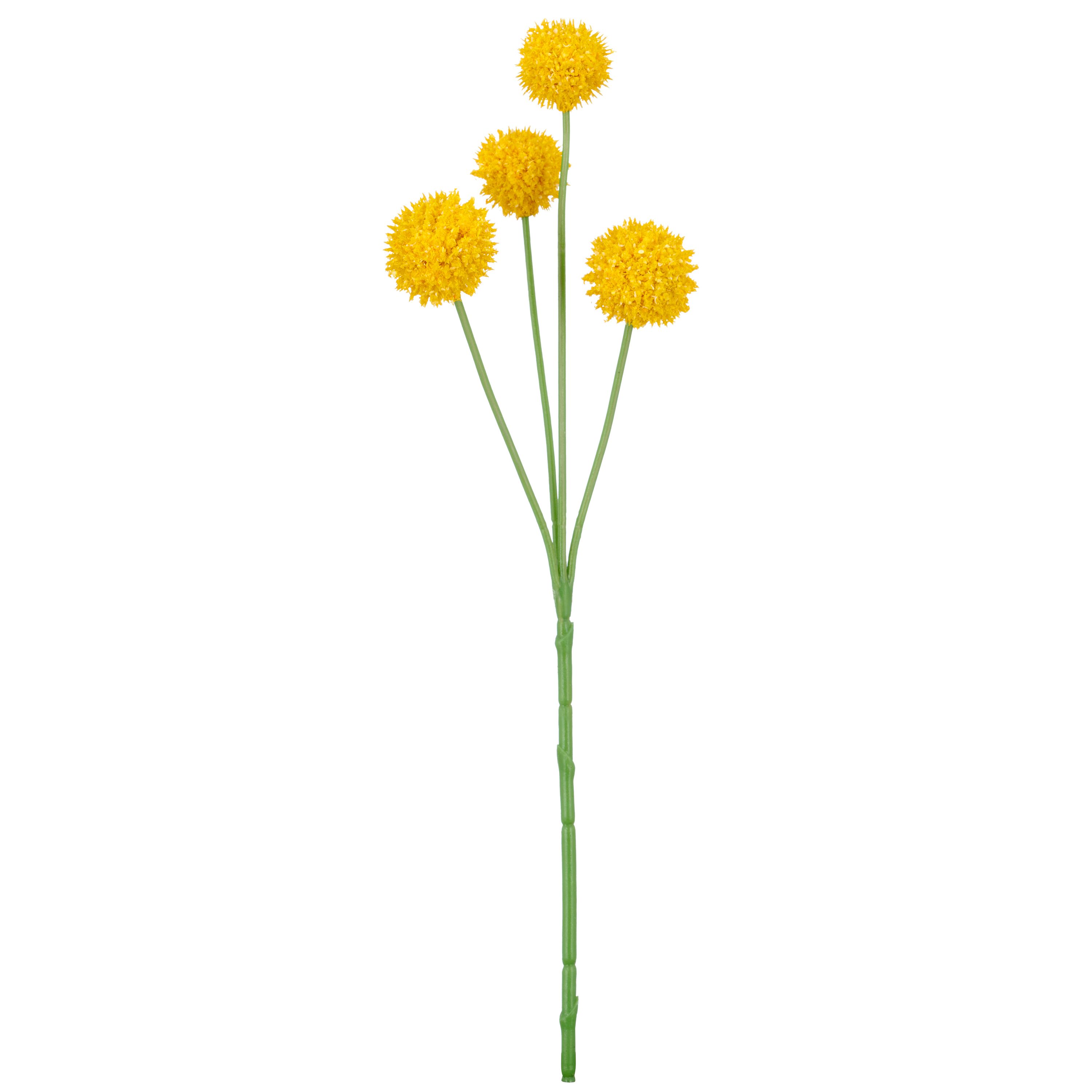 Kunstblume Graspedia