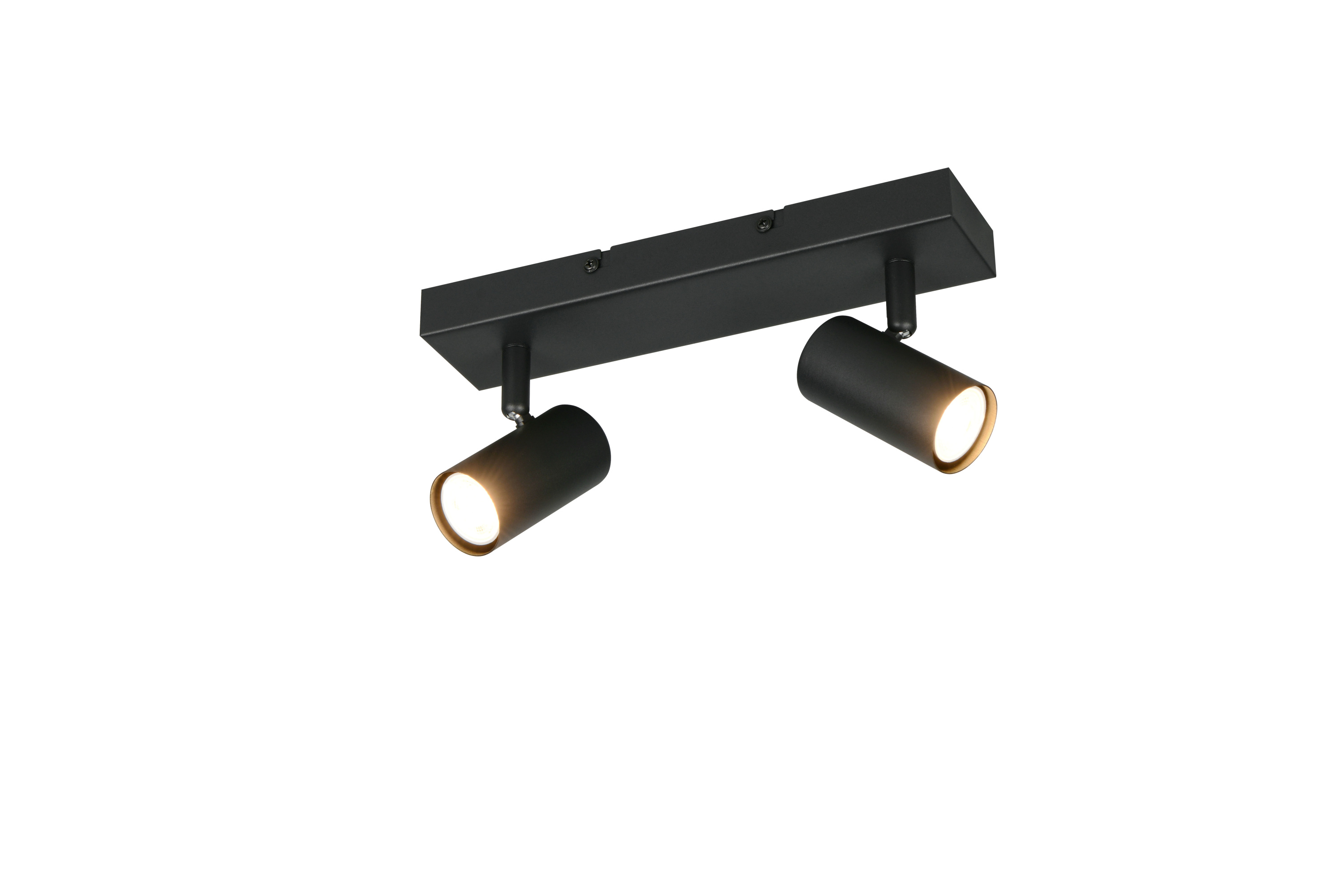 Deckenspot TARYN 2-flammig