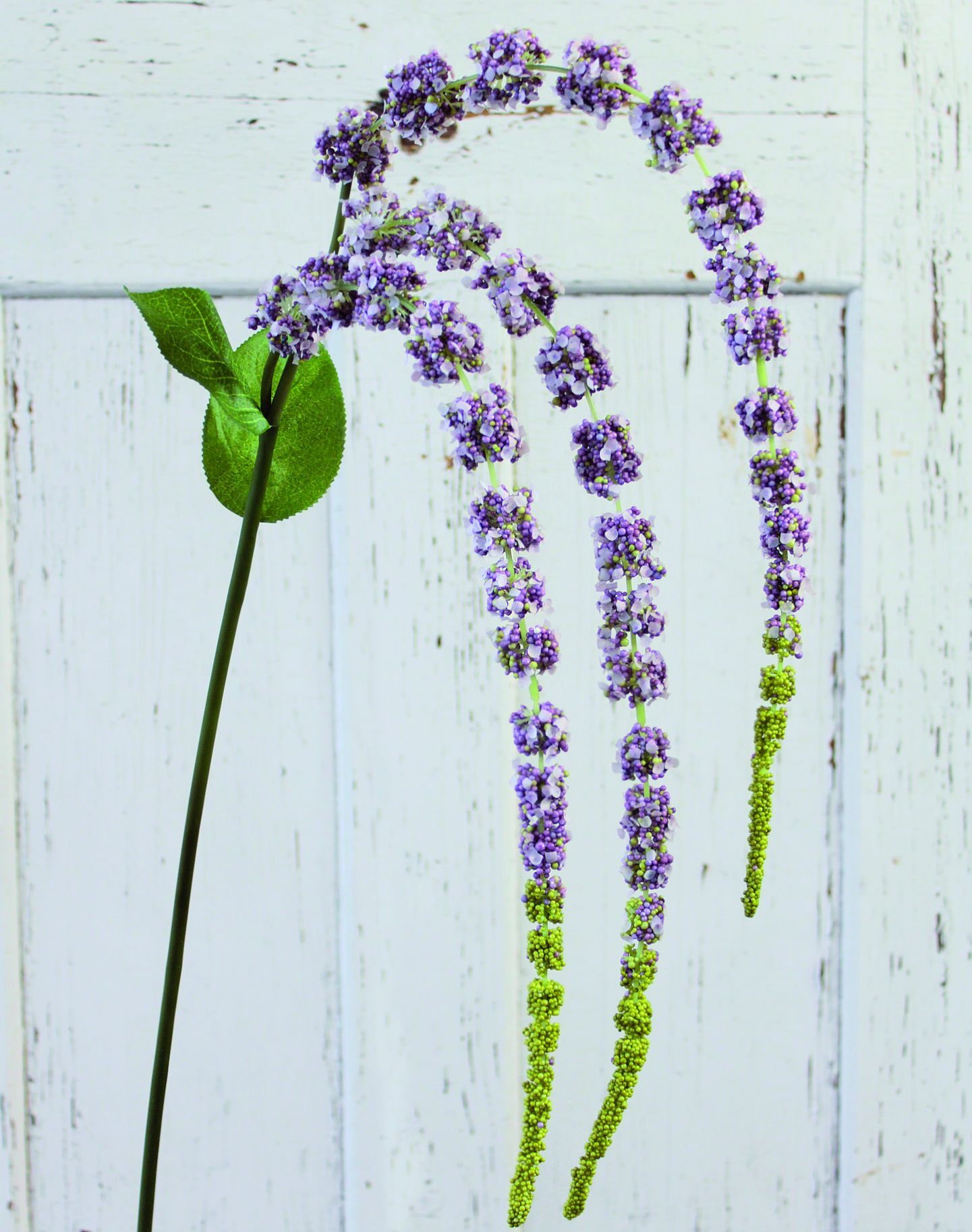 Kunstblume AMARANTHUSZWEIG