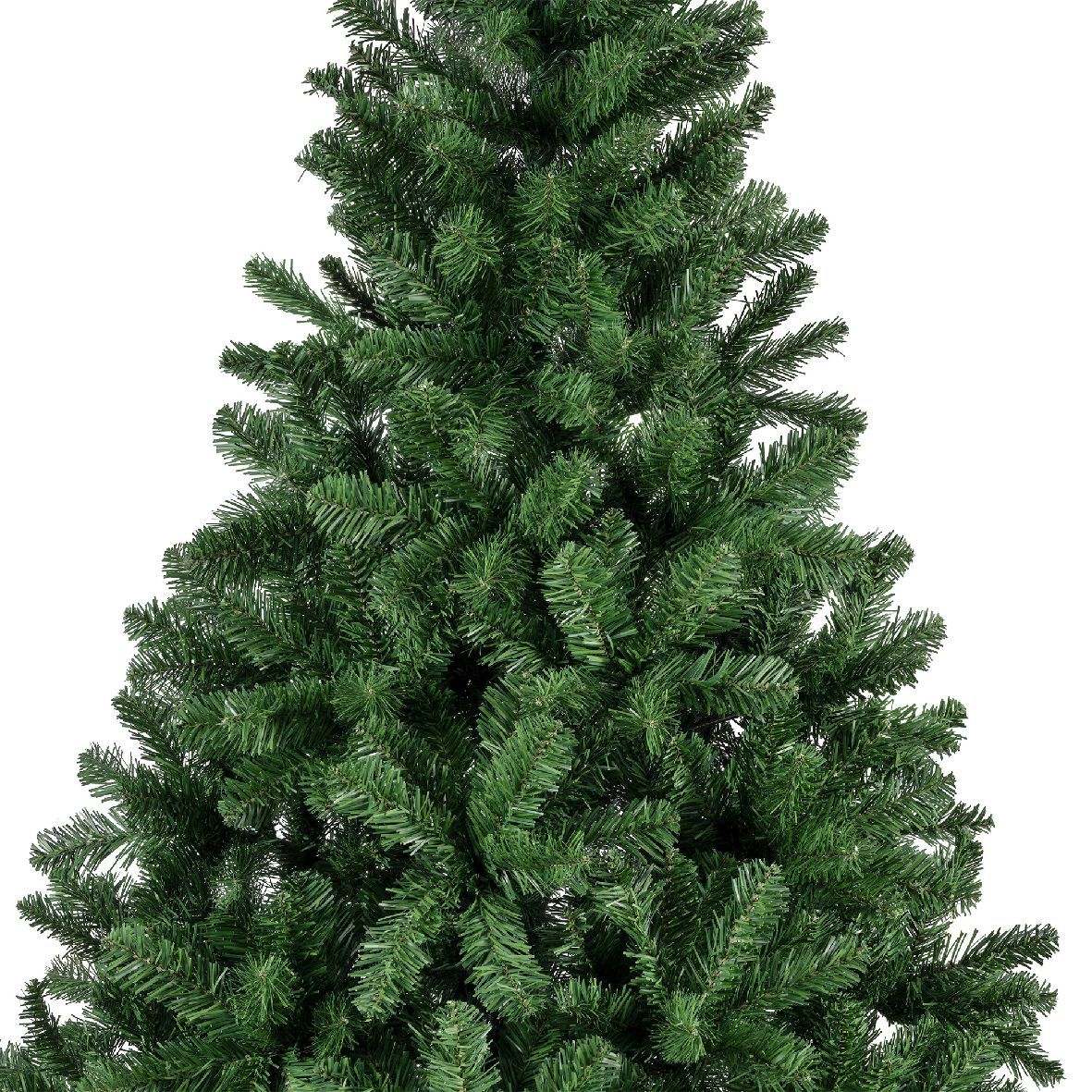 Tannenbaum IMPERIAL