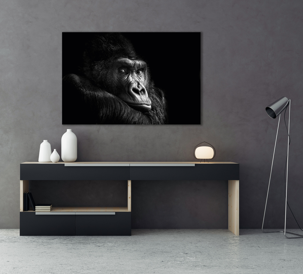 Akustikbild GORILLA