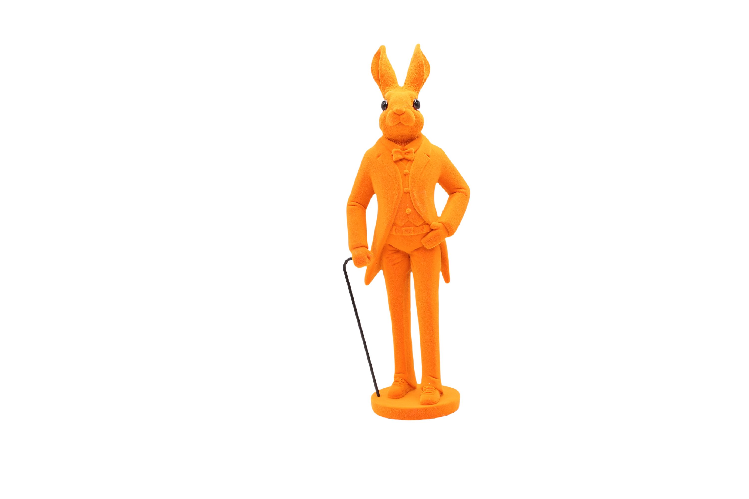 Hase FLOCKY