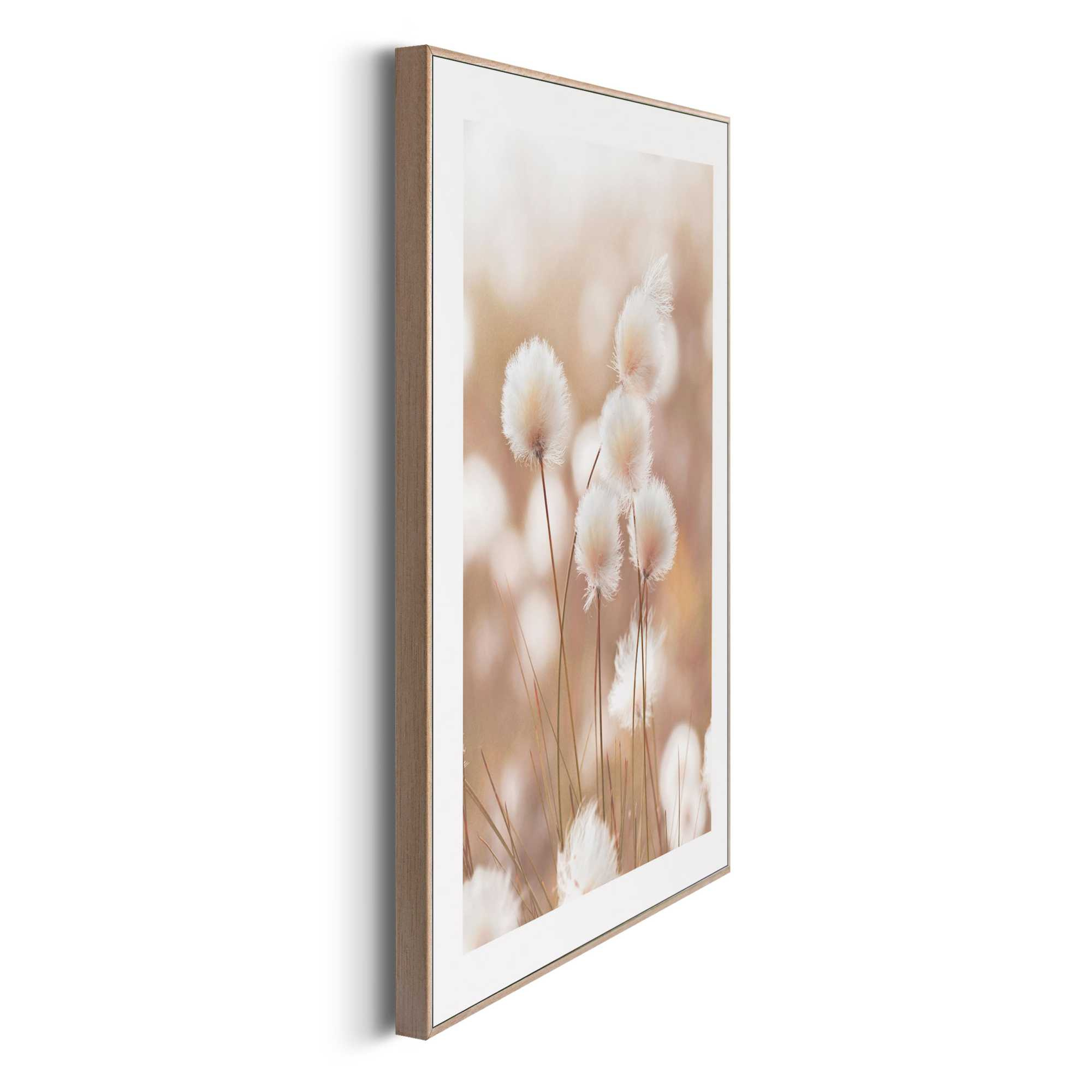 Bild COTTON POPS