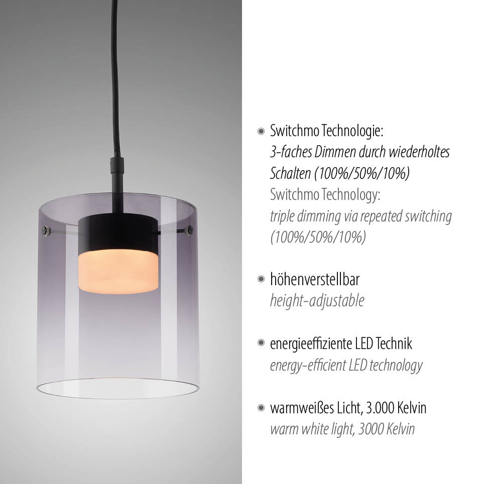 Pendelleuchte ELIO LED