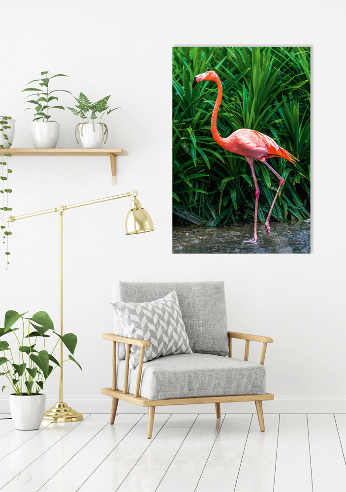 Akustikbild ELEGANTER FLAMINGO