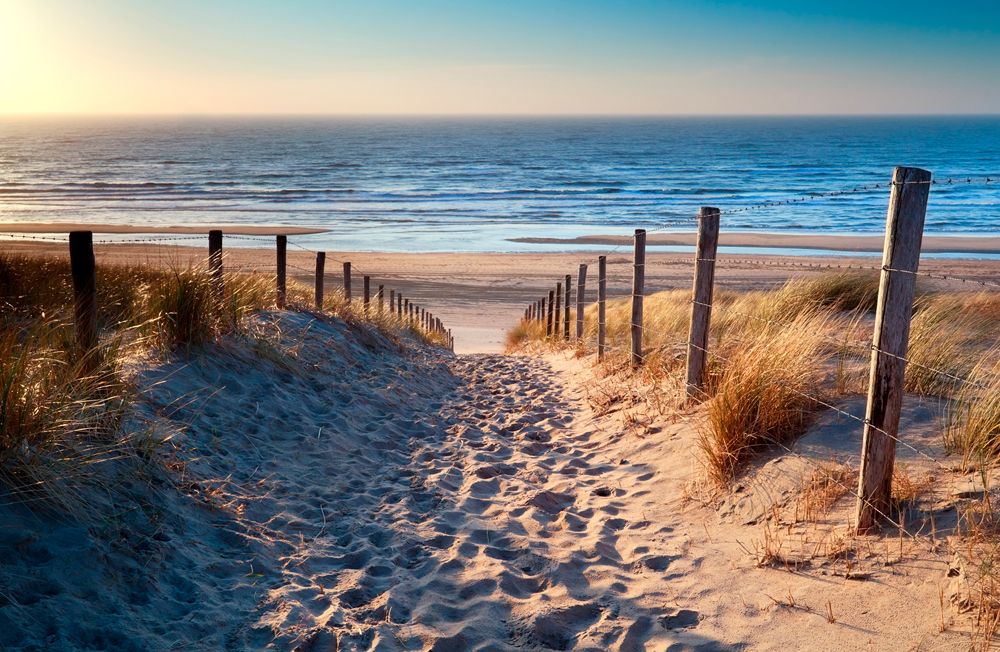 Leinwandbild SANDWEG ZUM STRAN
